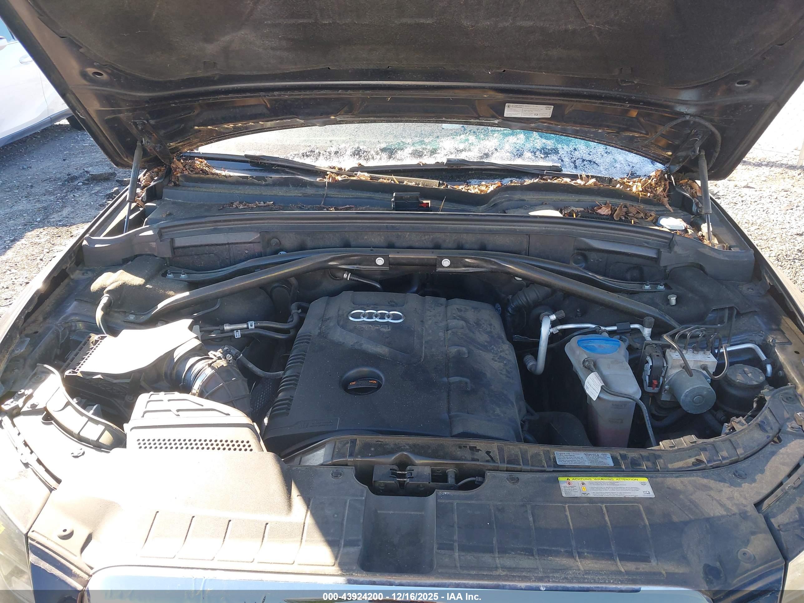 AUDI Q5 image 10