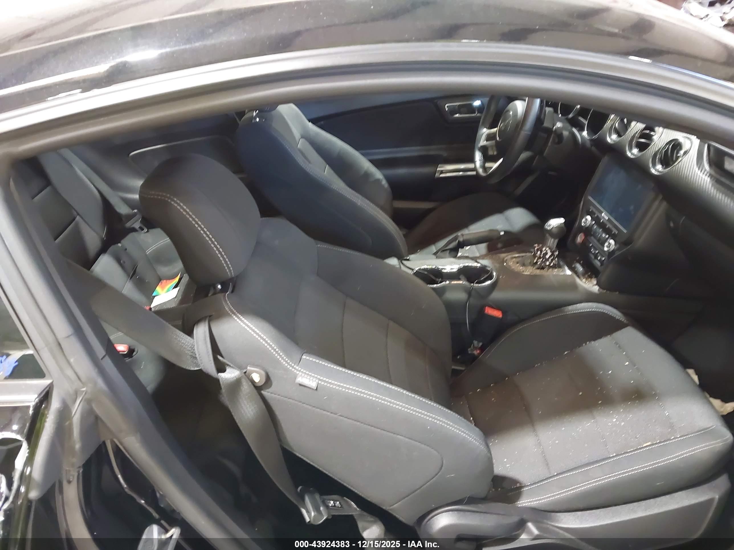 FORD MUSTANG image 5