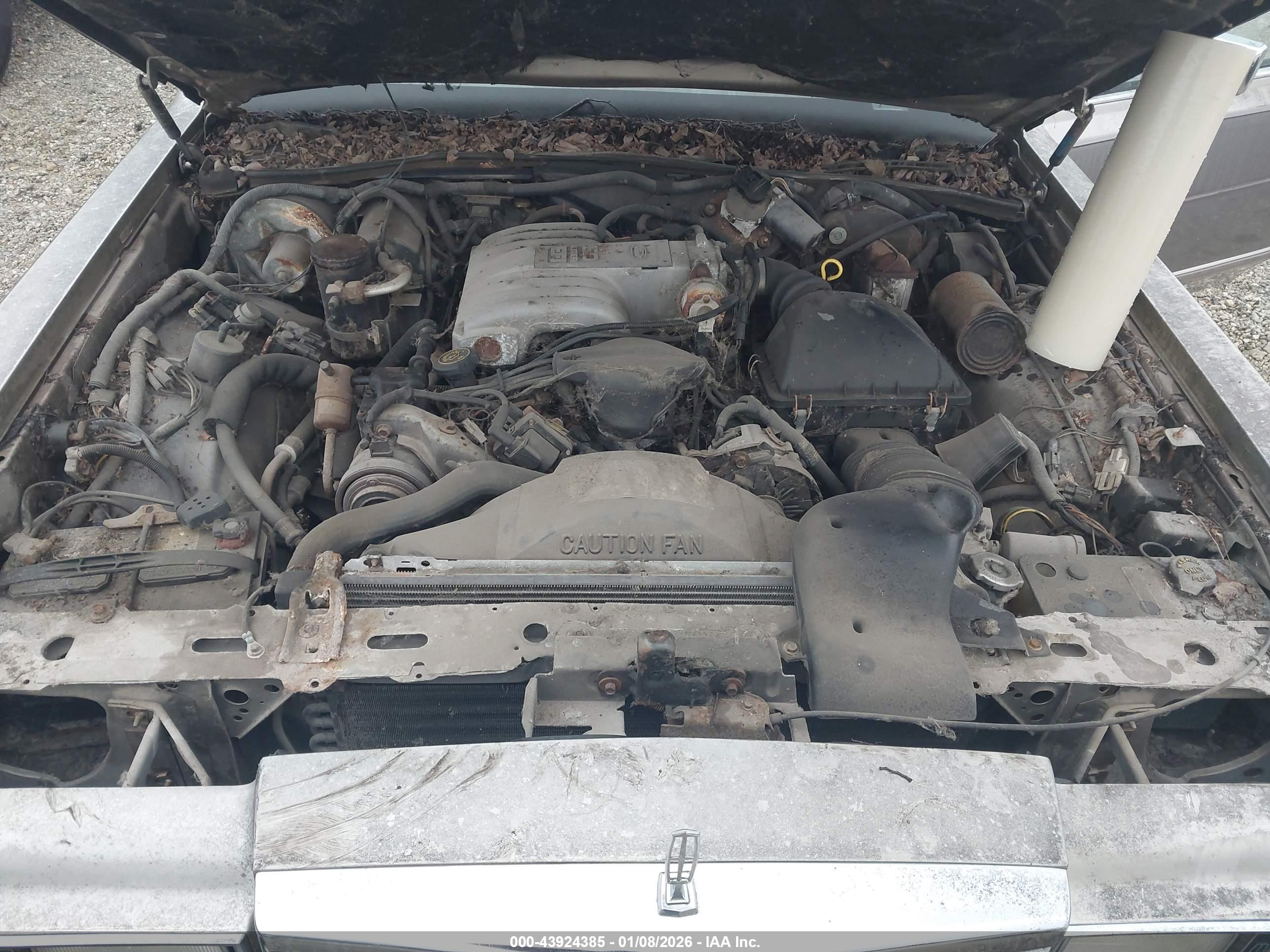LINCOLN TOWN image 10