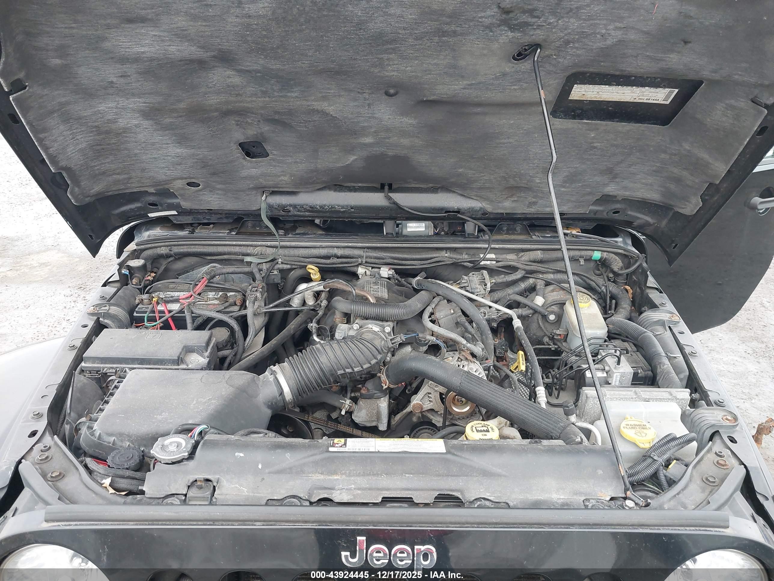 JEEP WRANGLER image 10