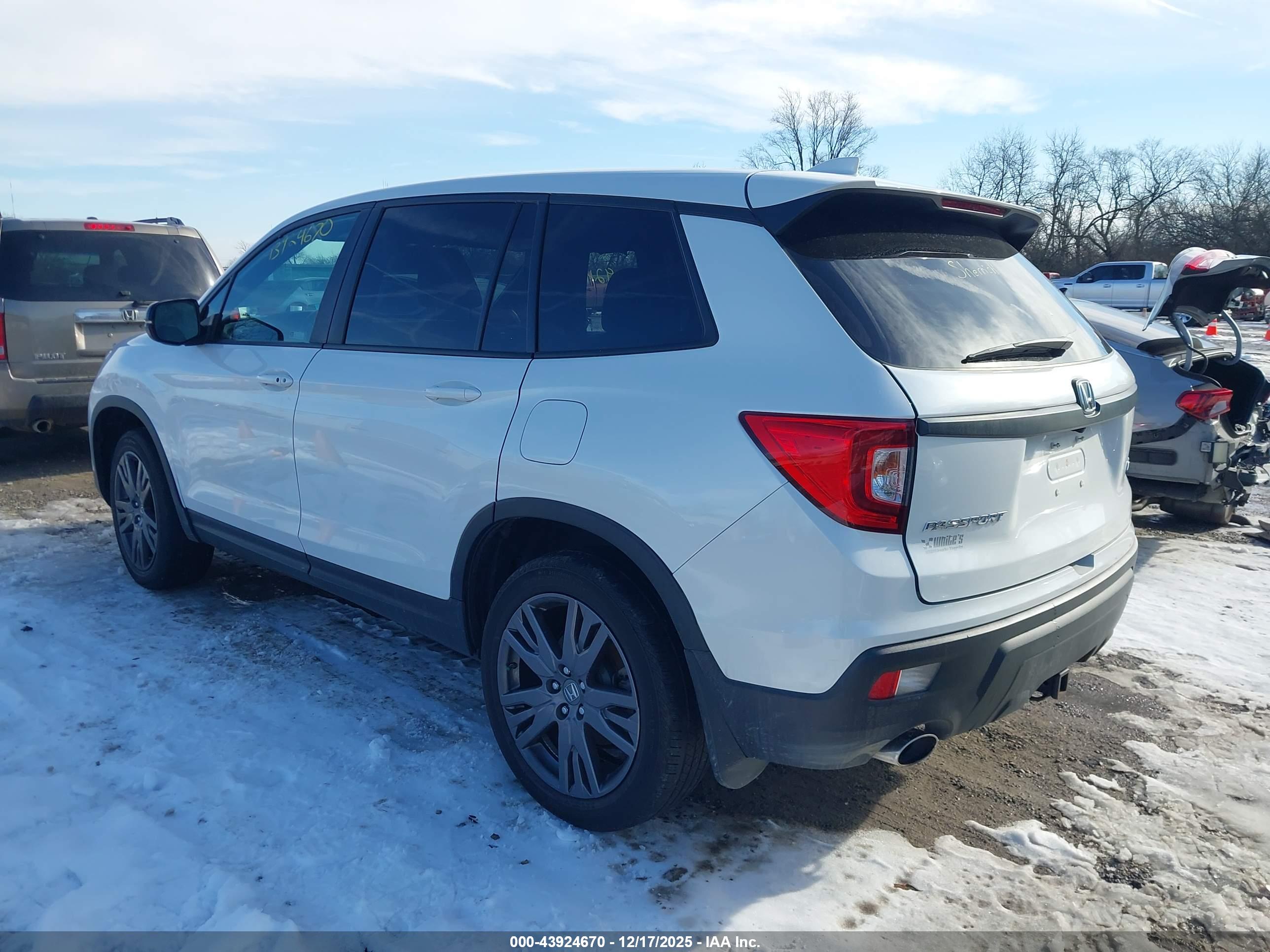 HONDA PASSPORT image 3