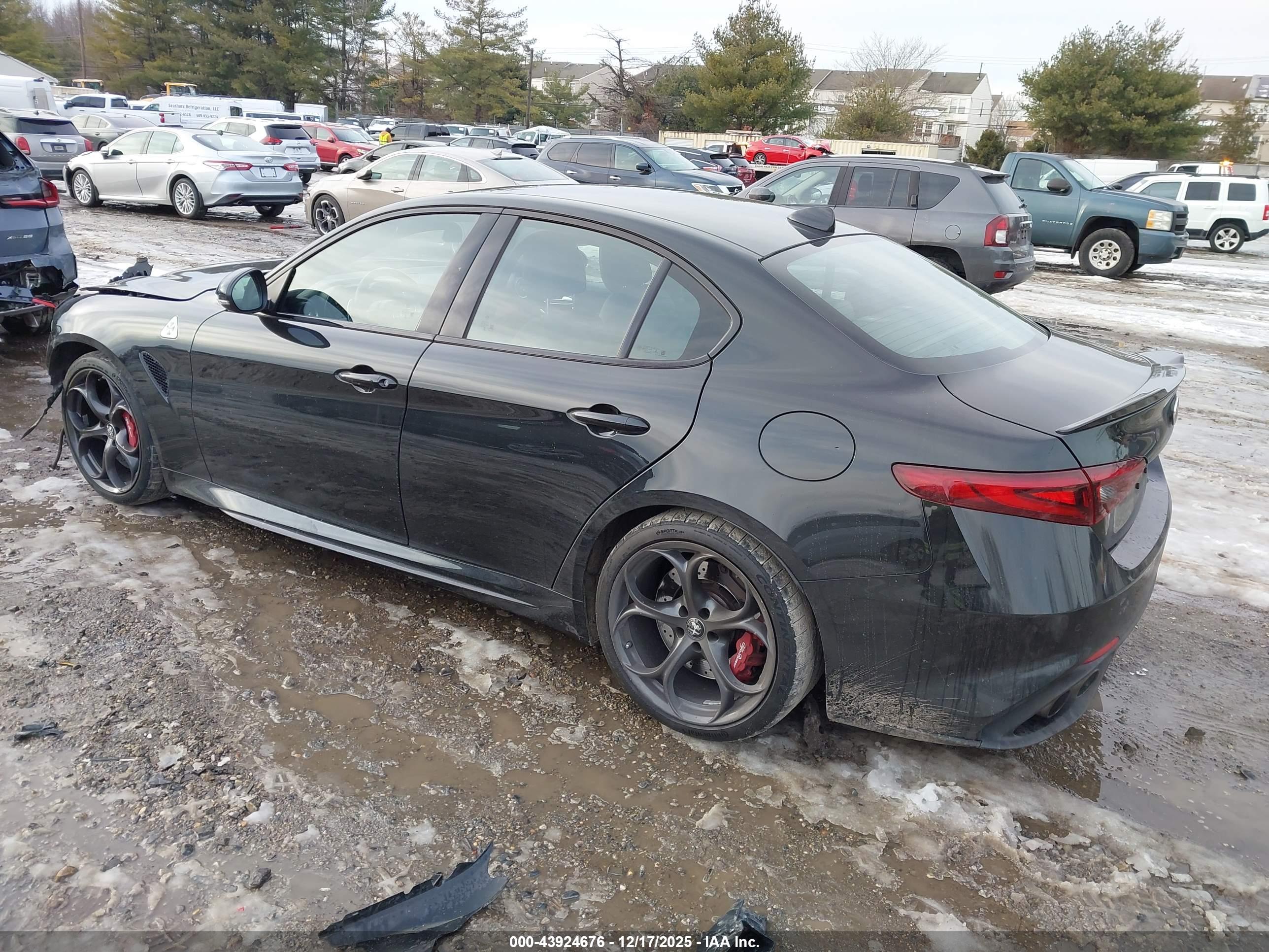 ALFA ROMEO image 3