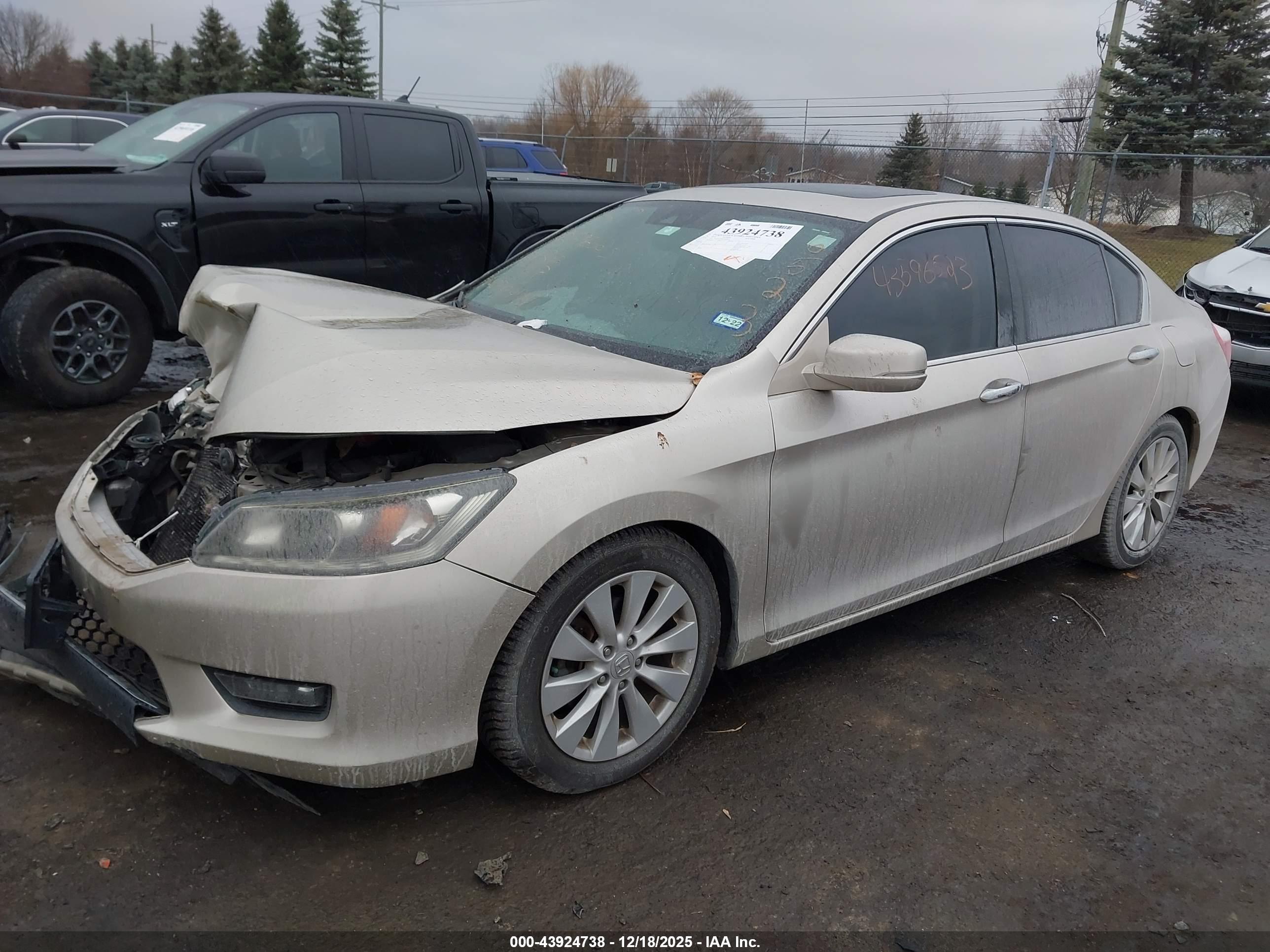 HONDA ACCORD image 2