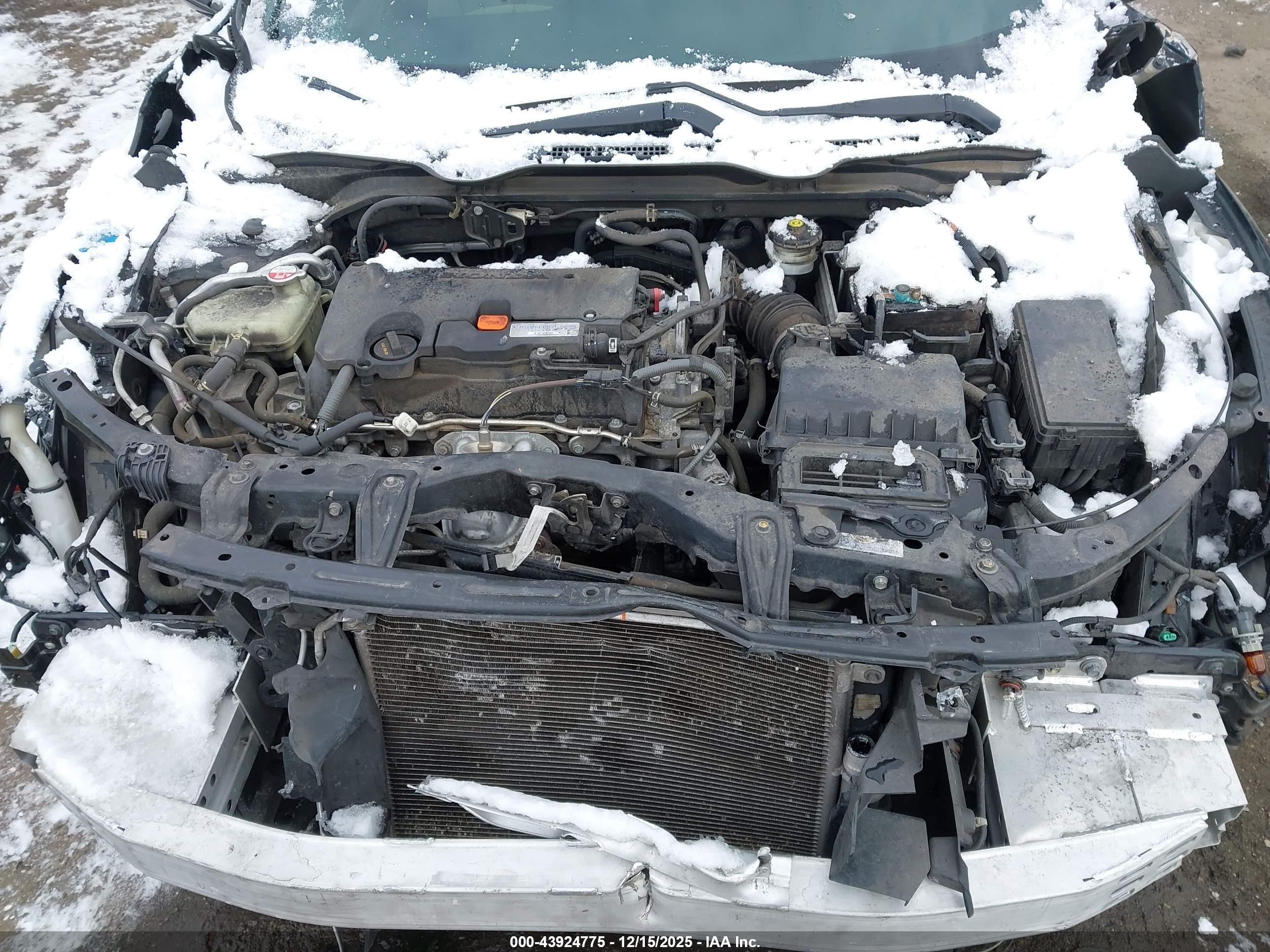 HONDA CIVIC image 10