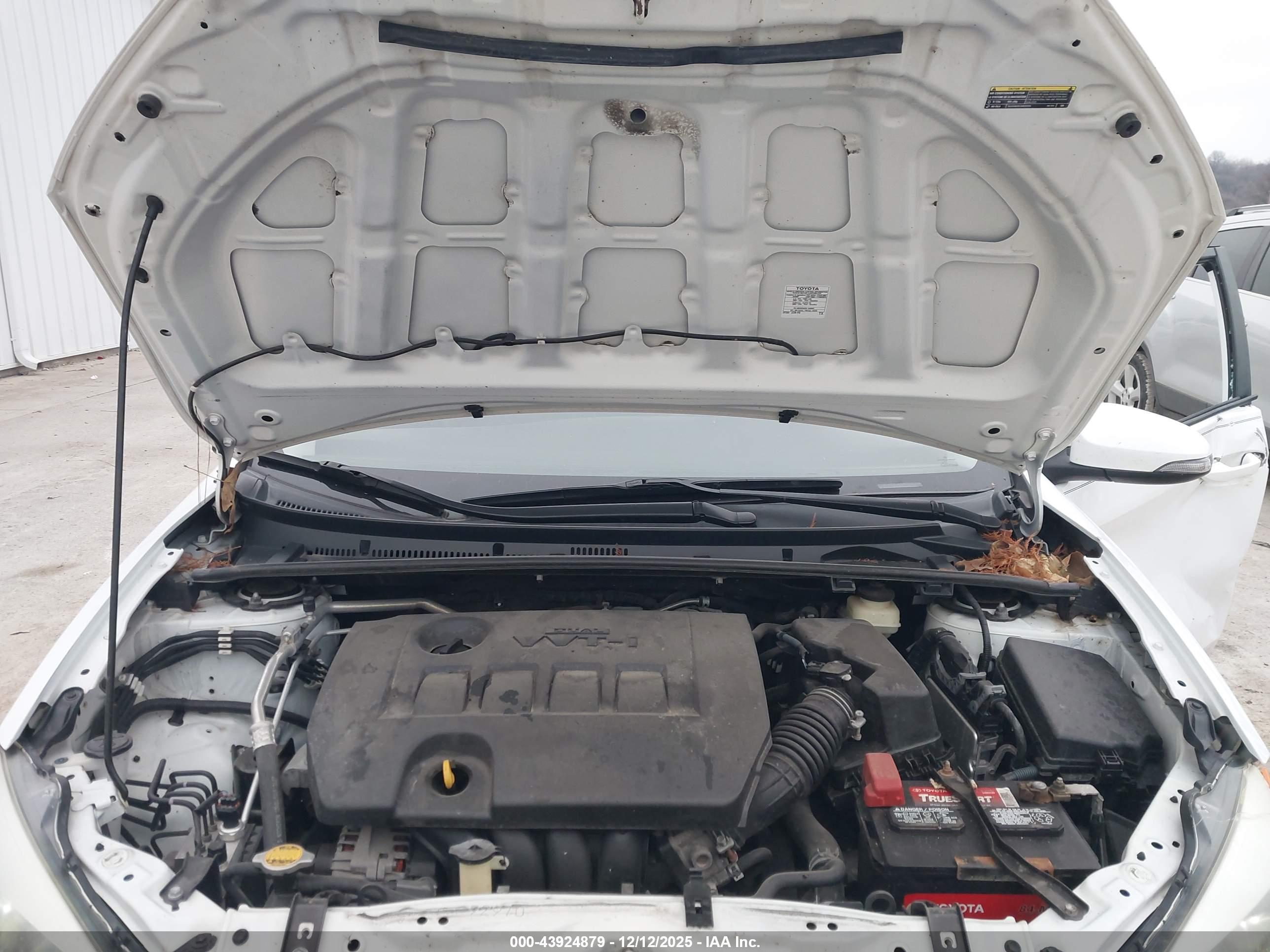 TOYOTA COROLLA image 10