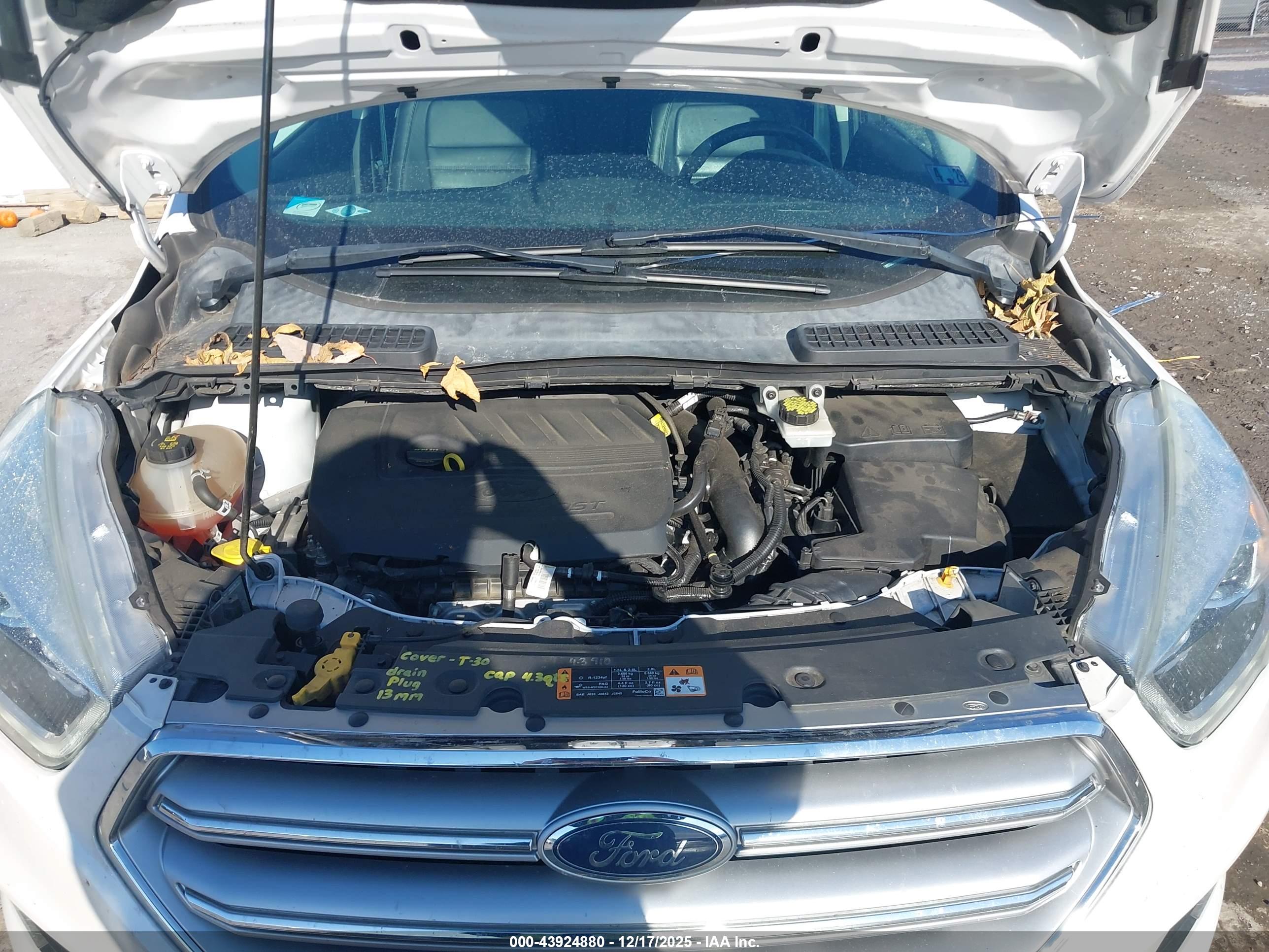 FORD ESCAPE image 10