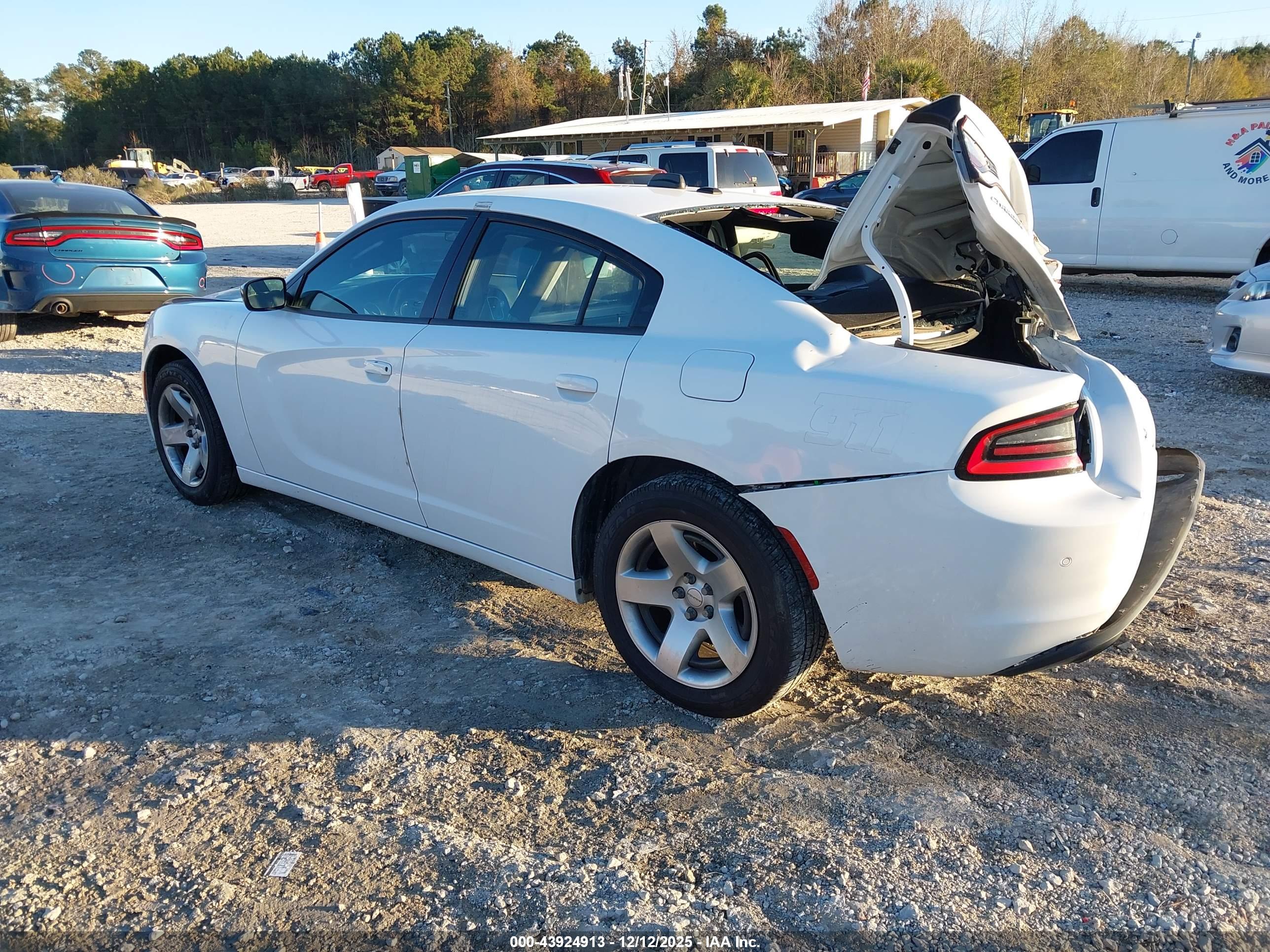 DODGE CHARGER image 3
