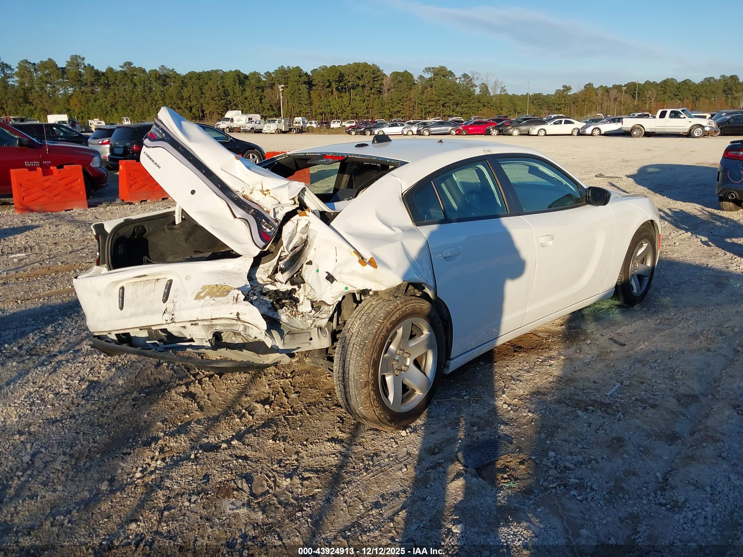 DODGE CHARGER image 4