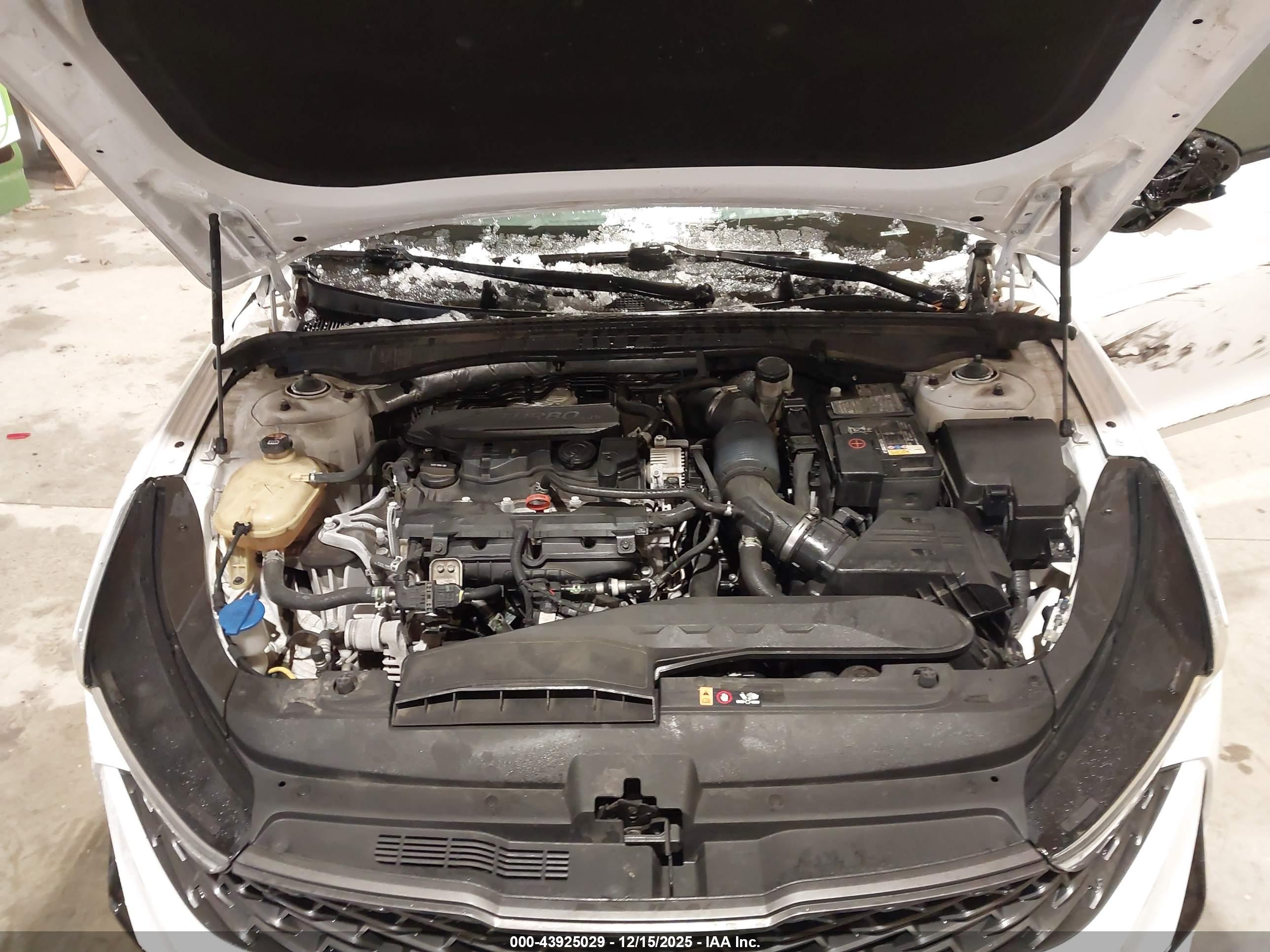 KIA K5 image 10