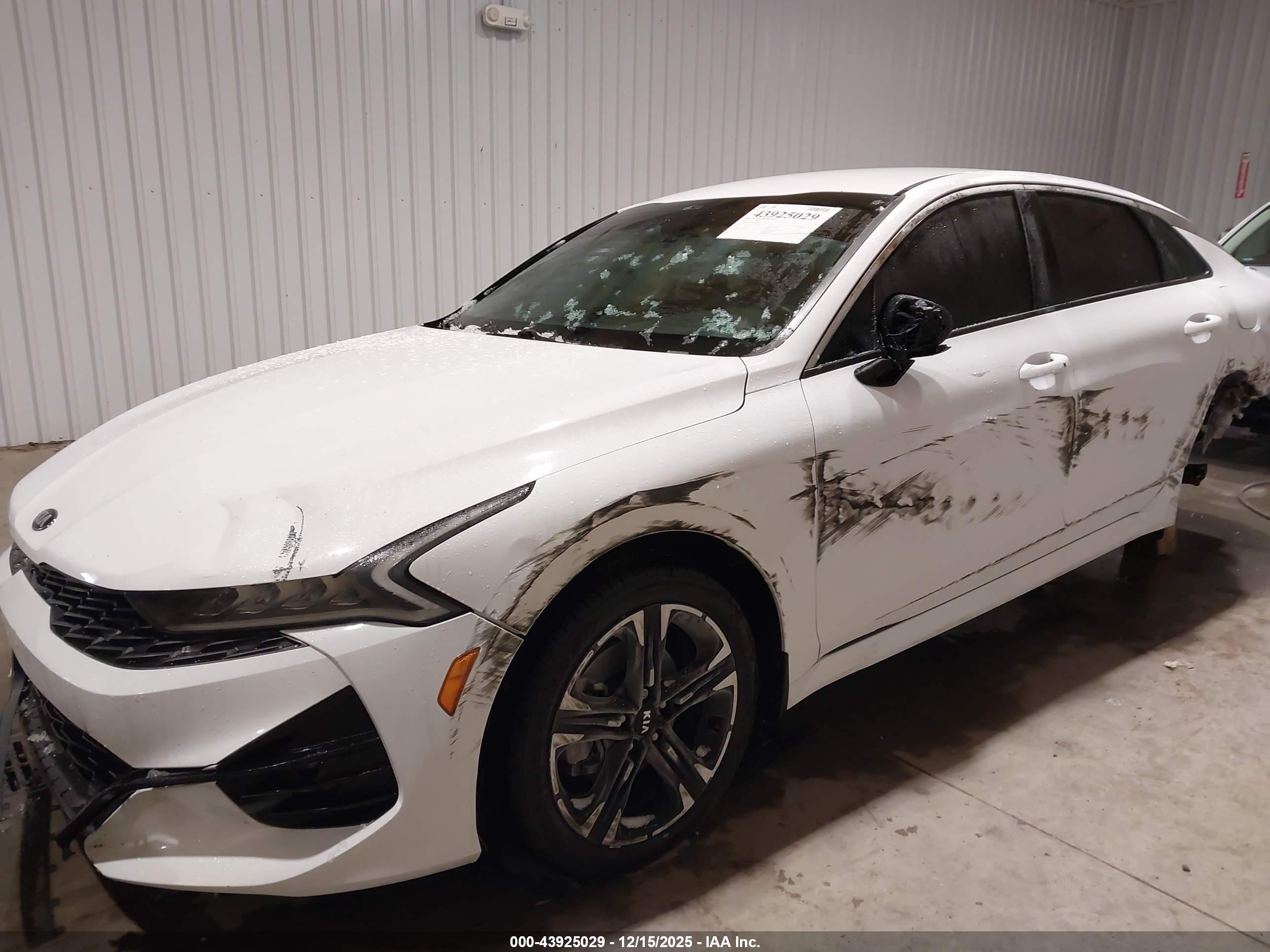 KIA K5 image 6