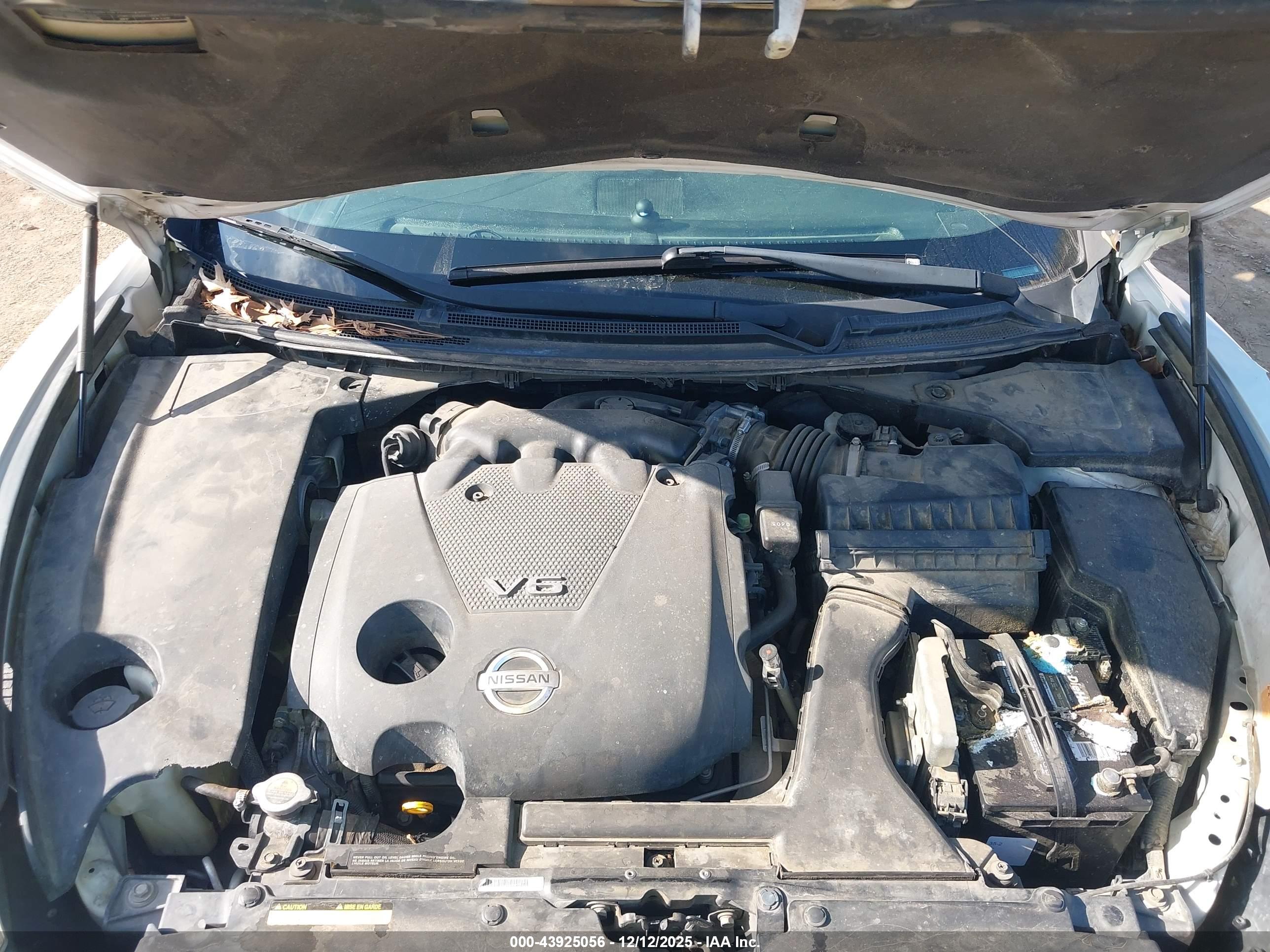 NISSAN MAXIMA image 10