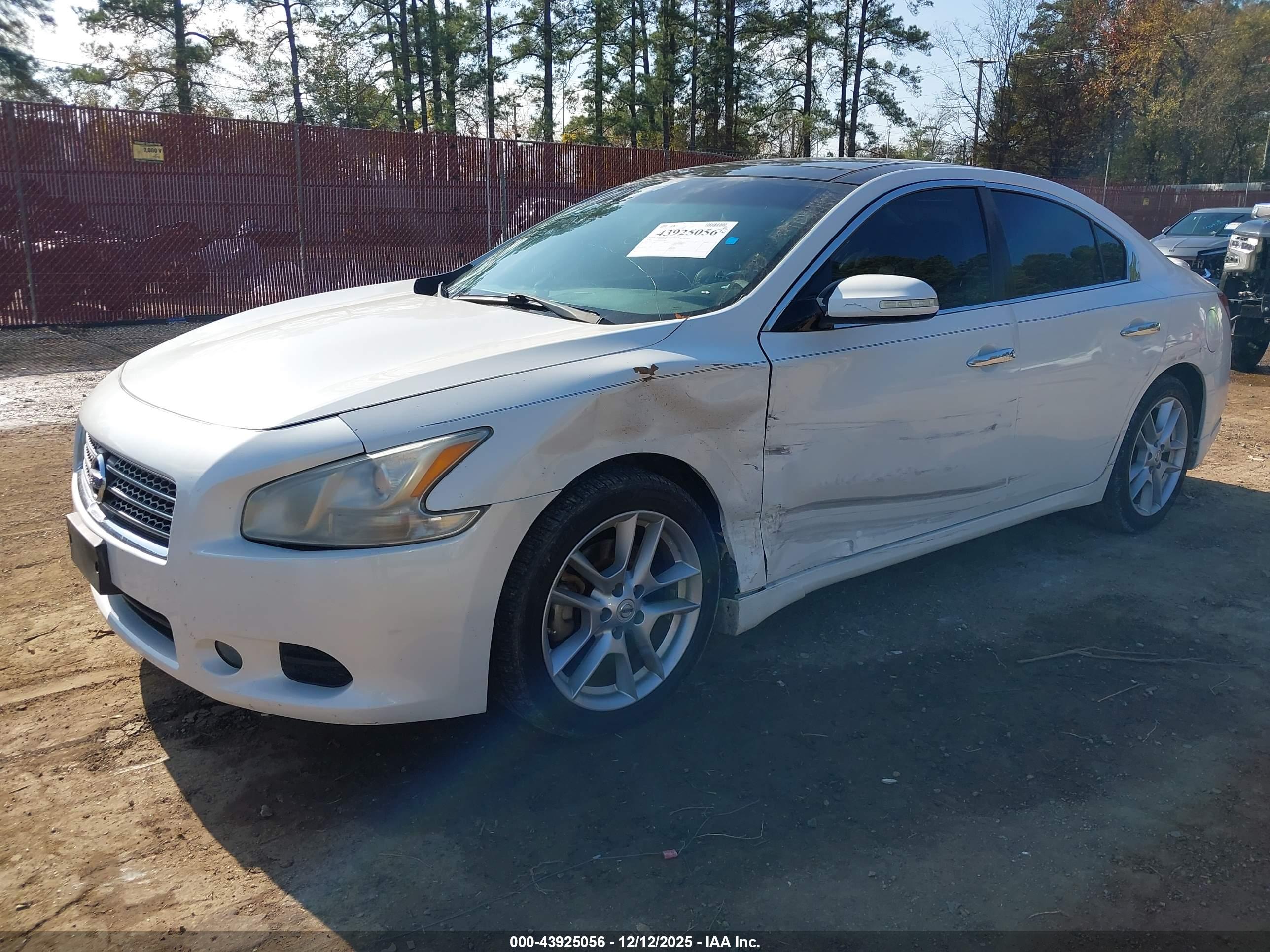 NISSAN MAXIMA image 2