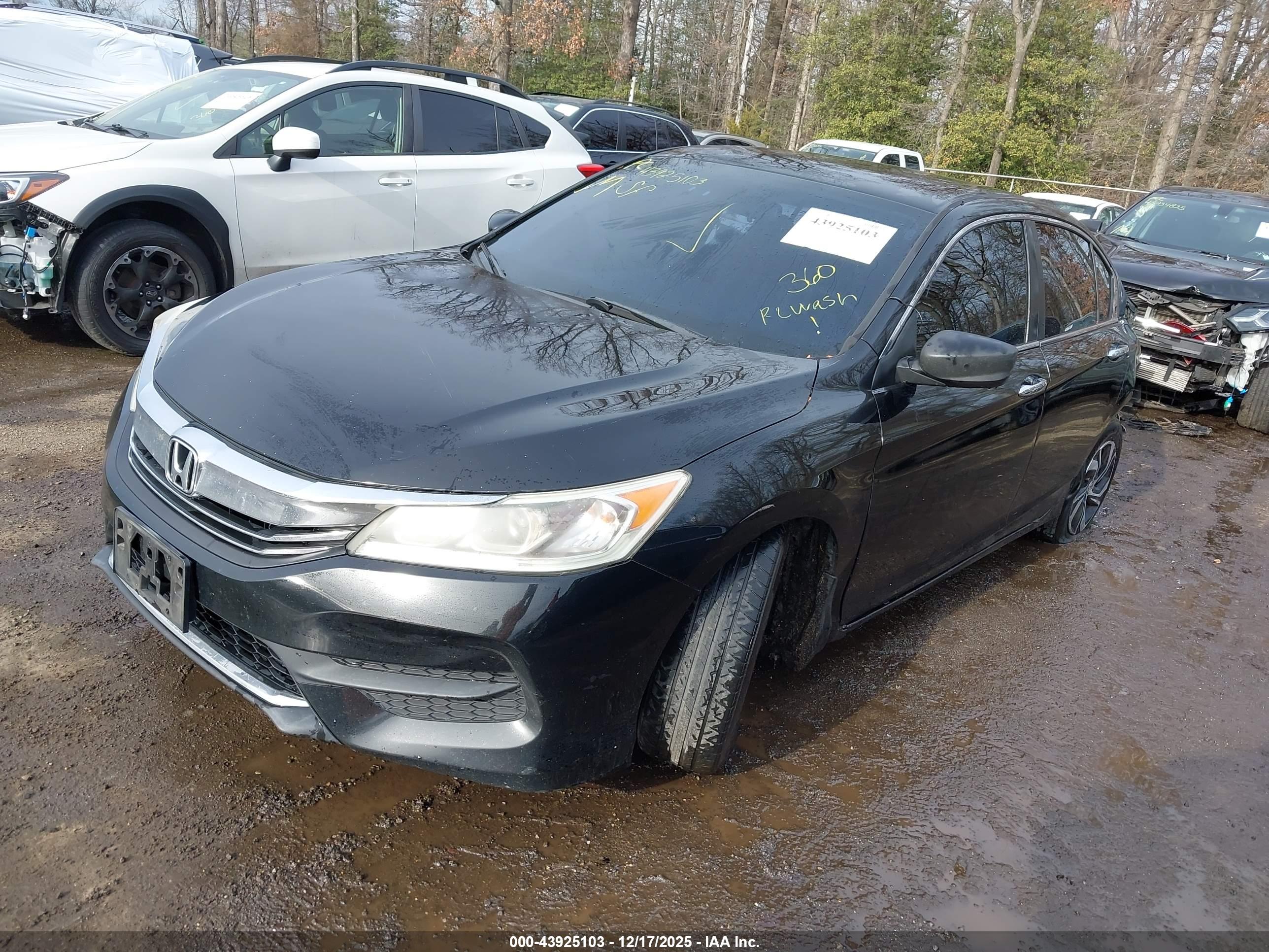 HONDA ACCORD image 2