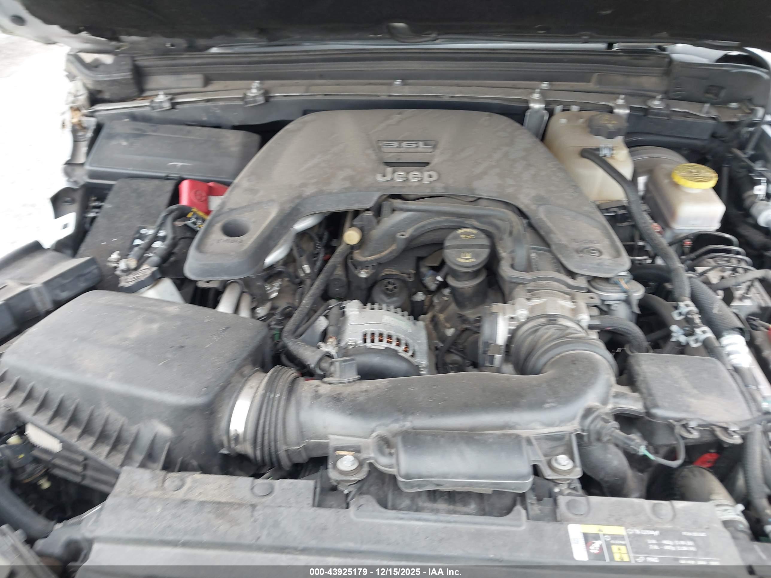 JEEP WRANGLER image 10