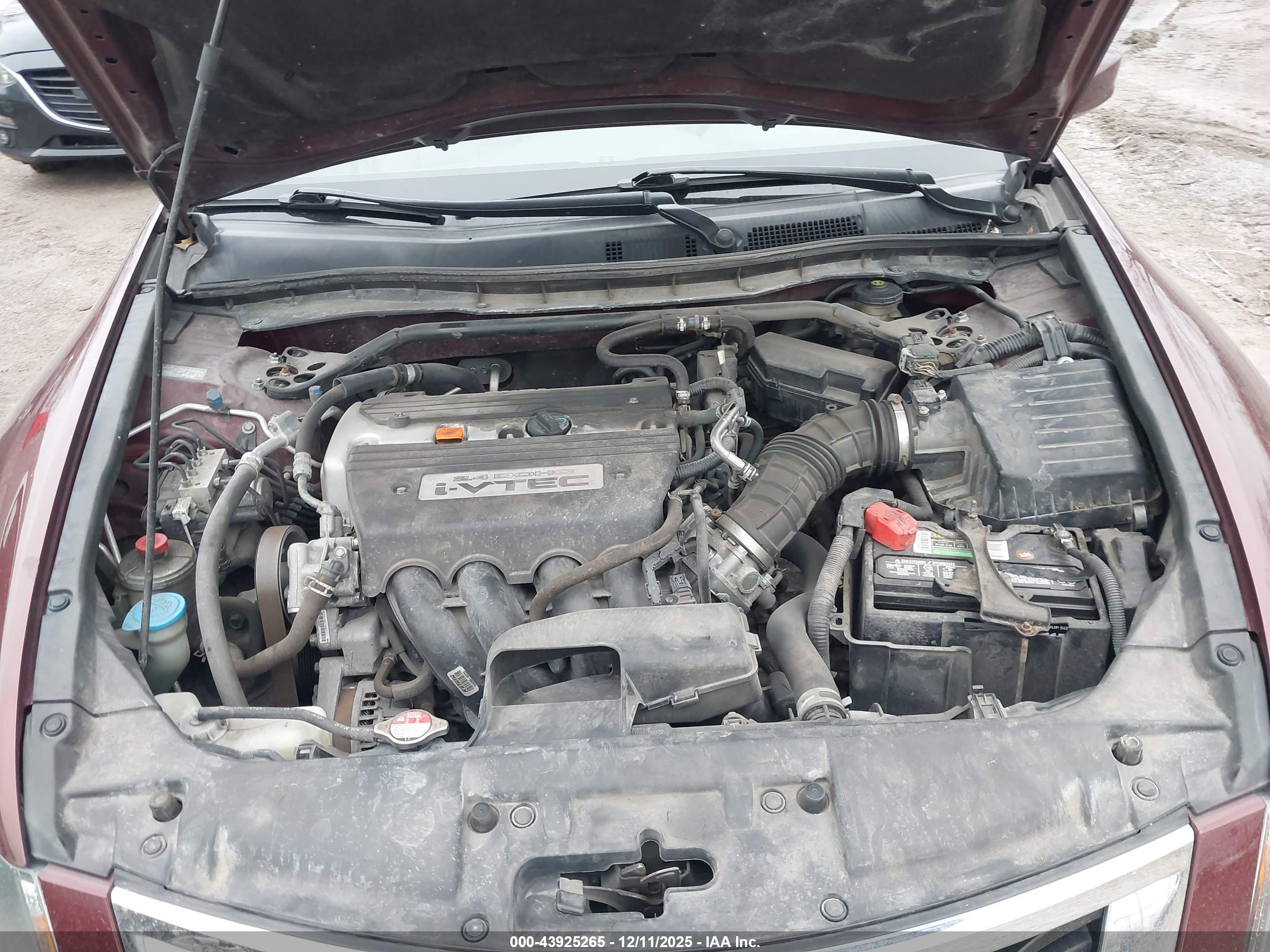 HONDA ACCORD image 10