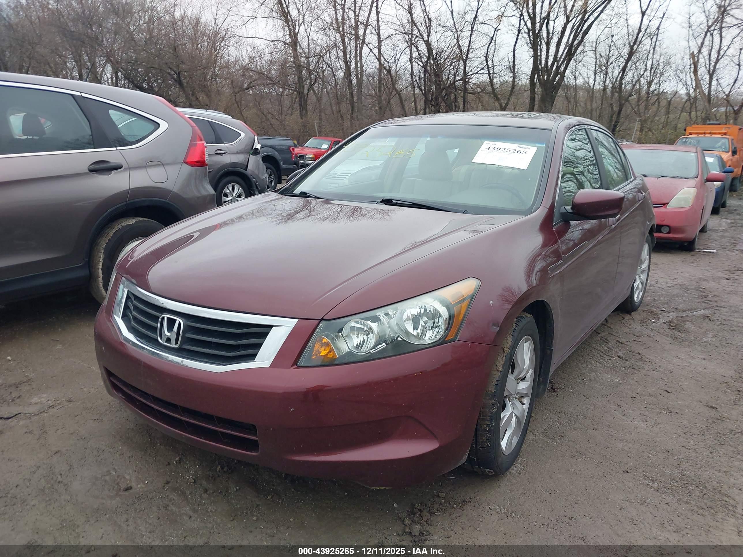 HONDA ACCORD image 2