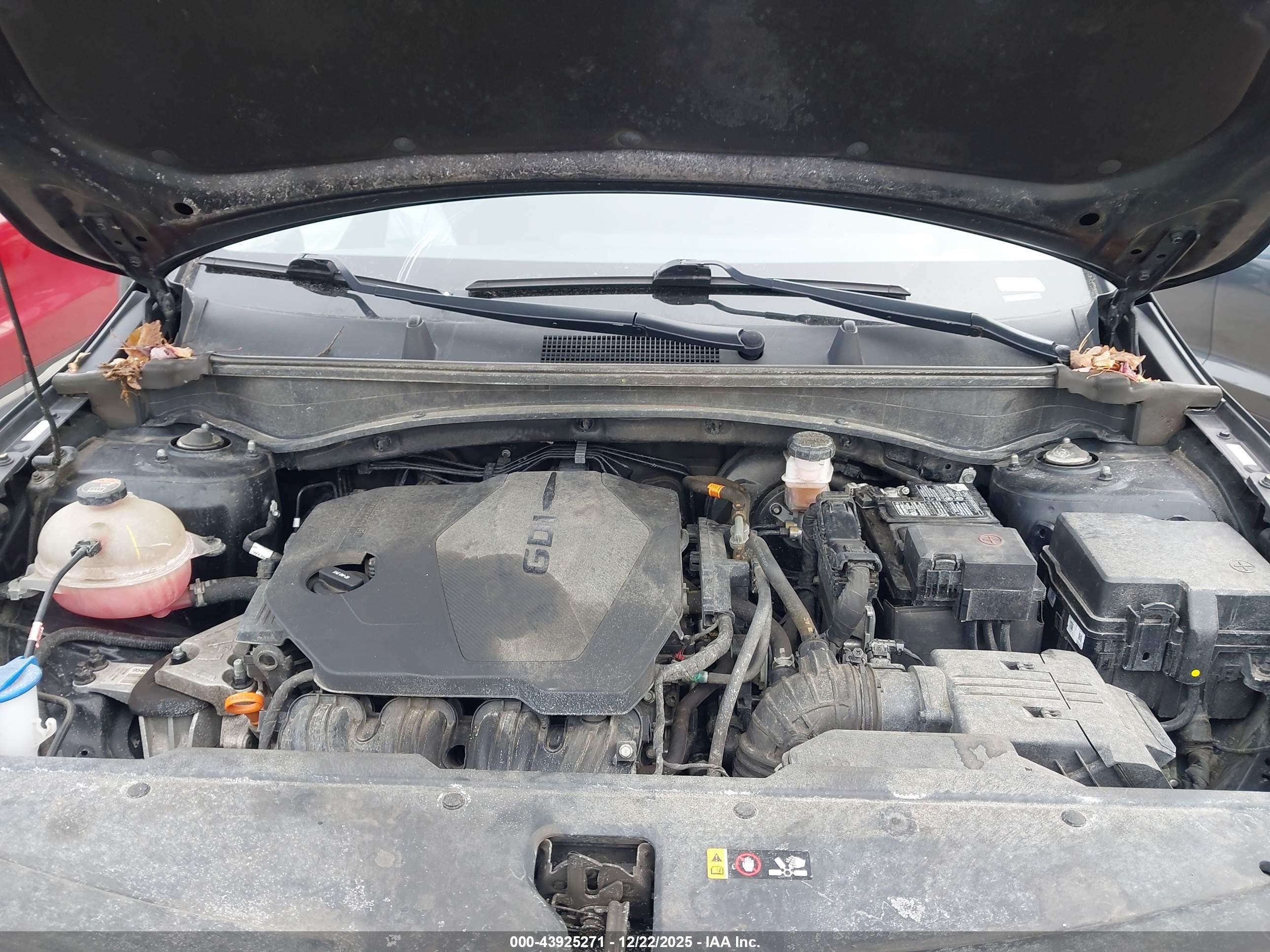 KIA SPORTAGE image 10