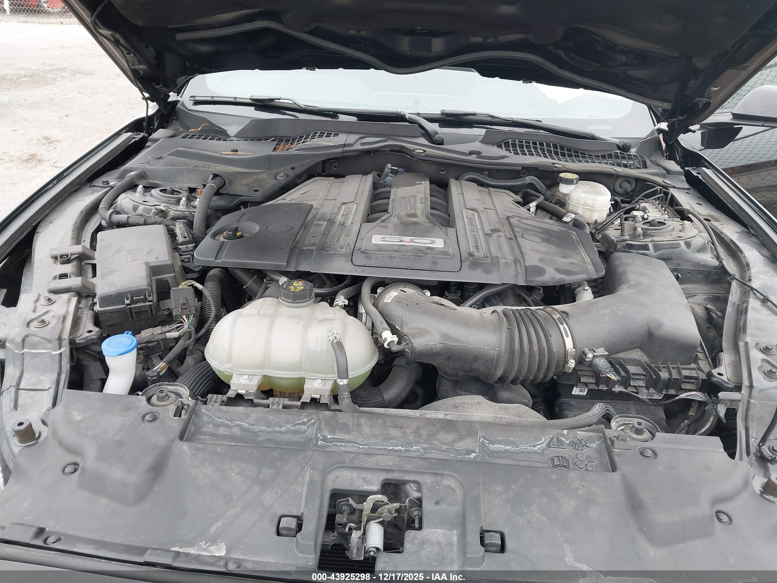 FORD MUSTANG image 10