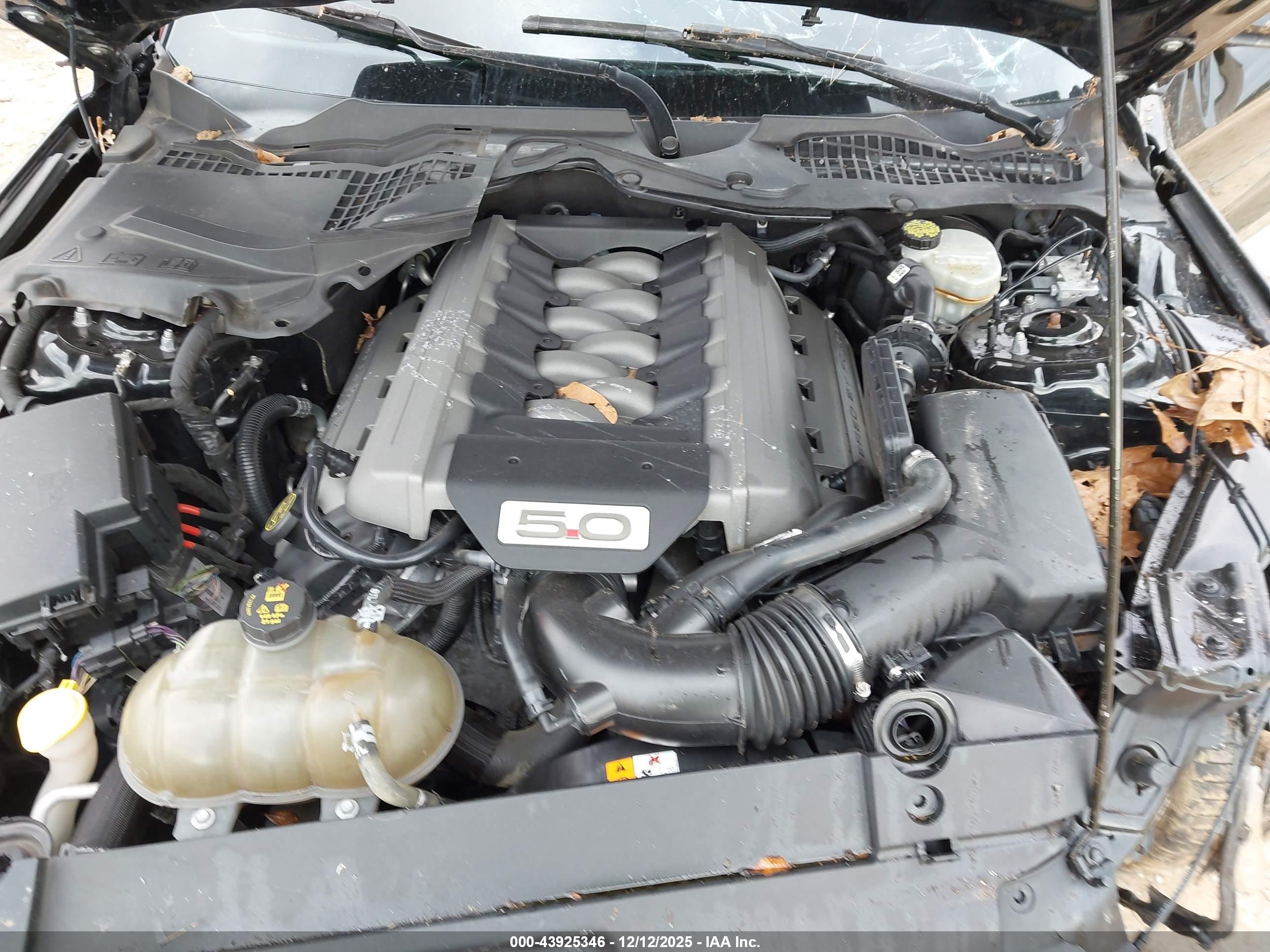 FORD MUSTANG image 10