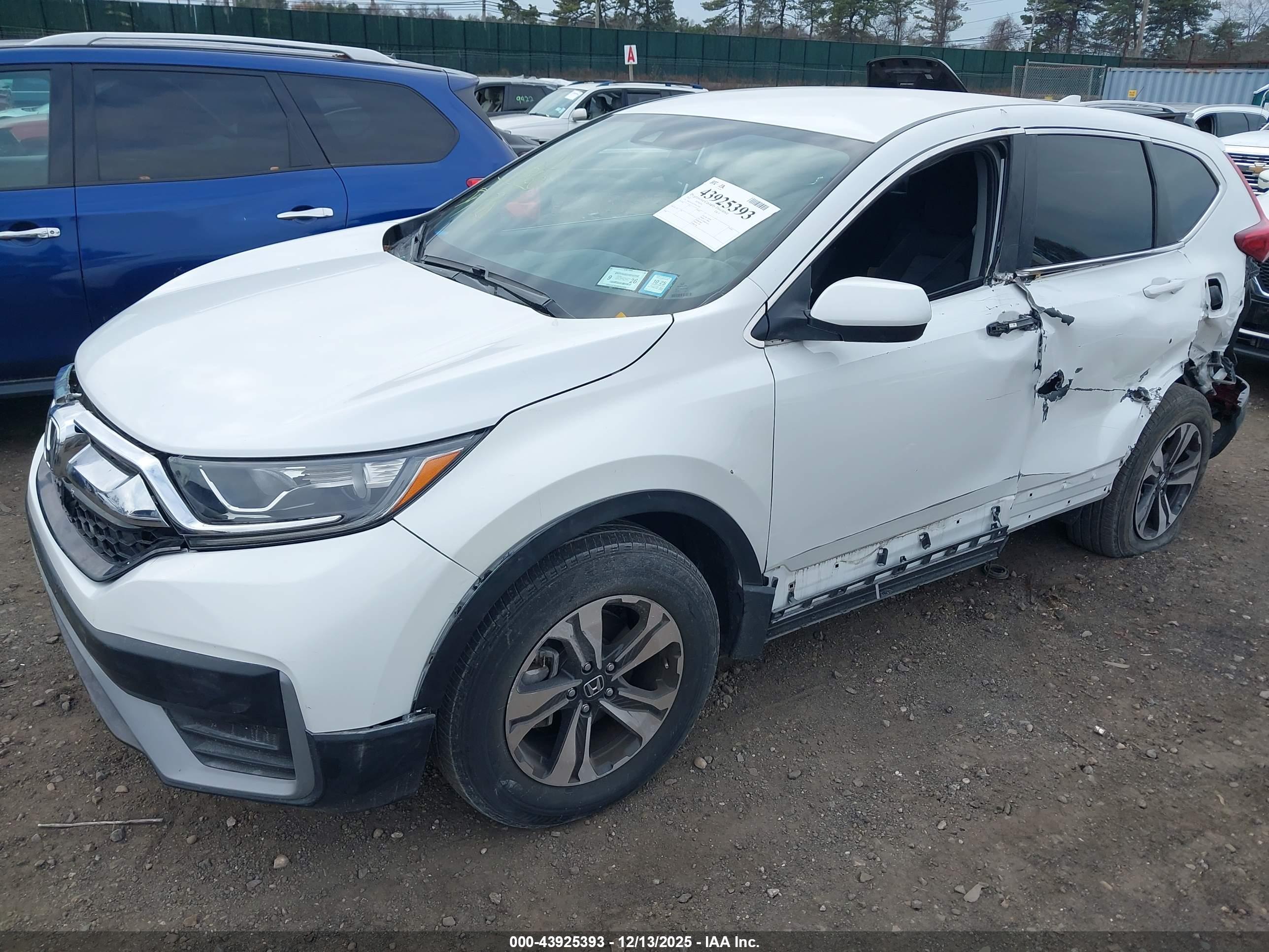 HONDA CR-V image 6