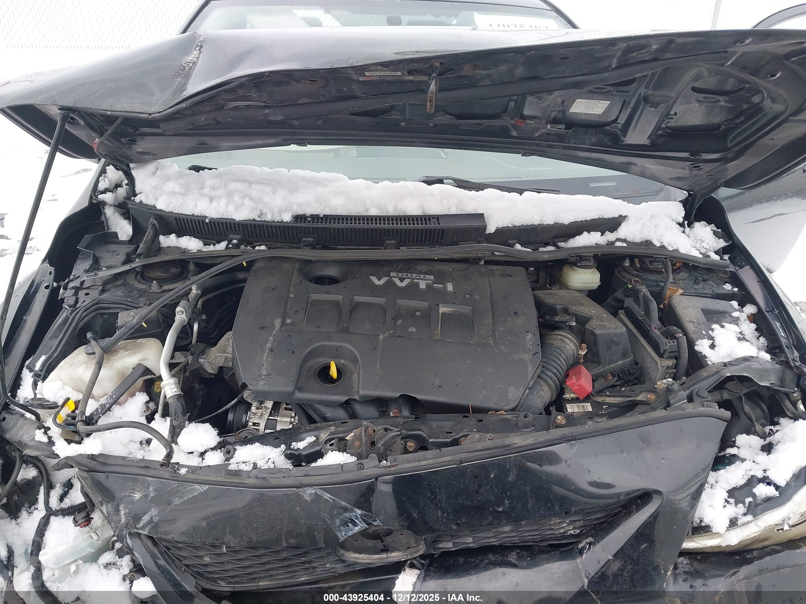 TOYOTA COROLLA image 10
