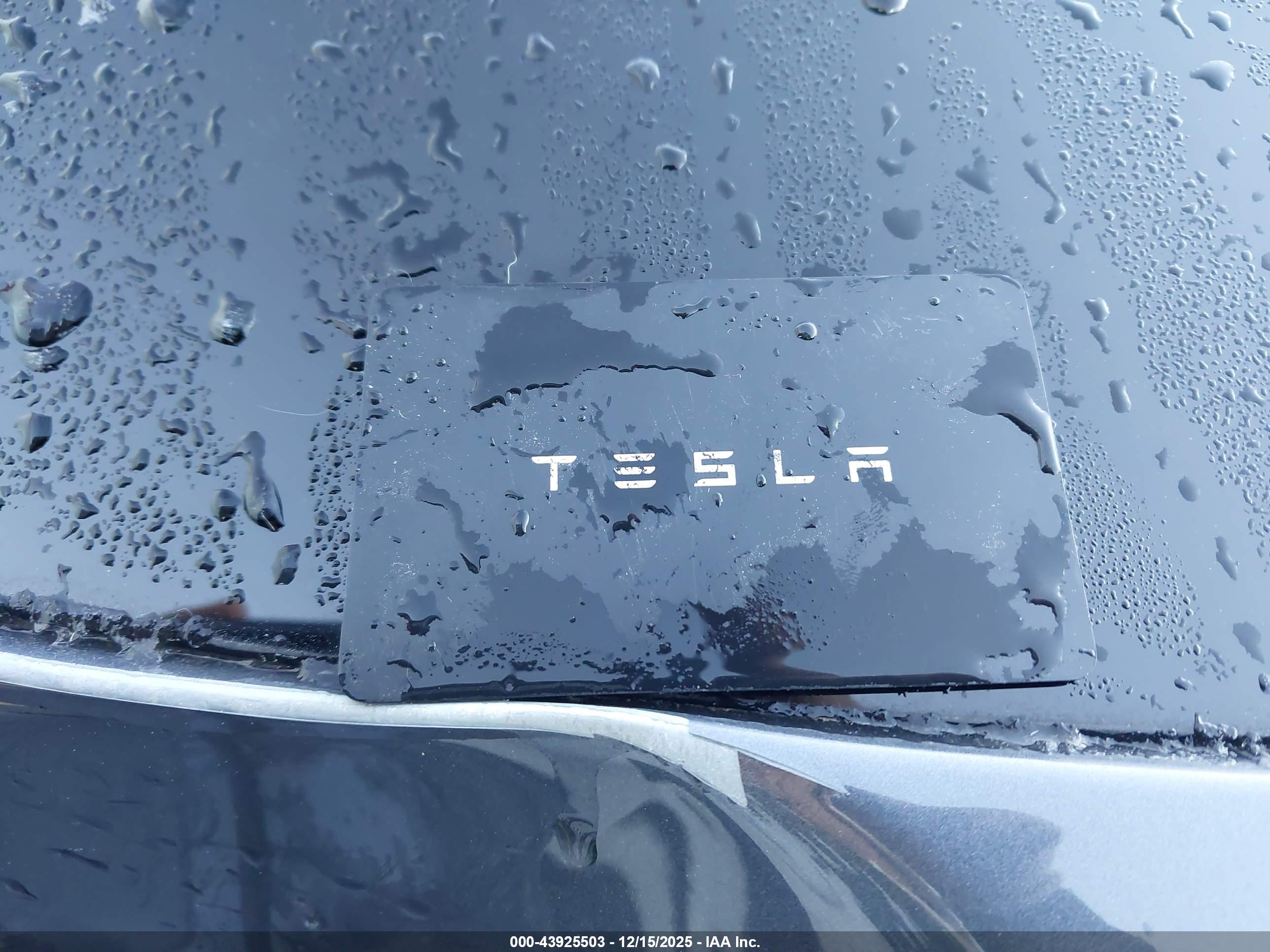 TESLA MODEL image 11