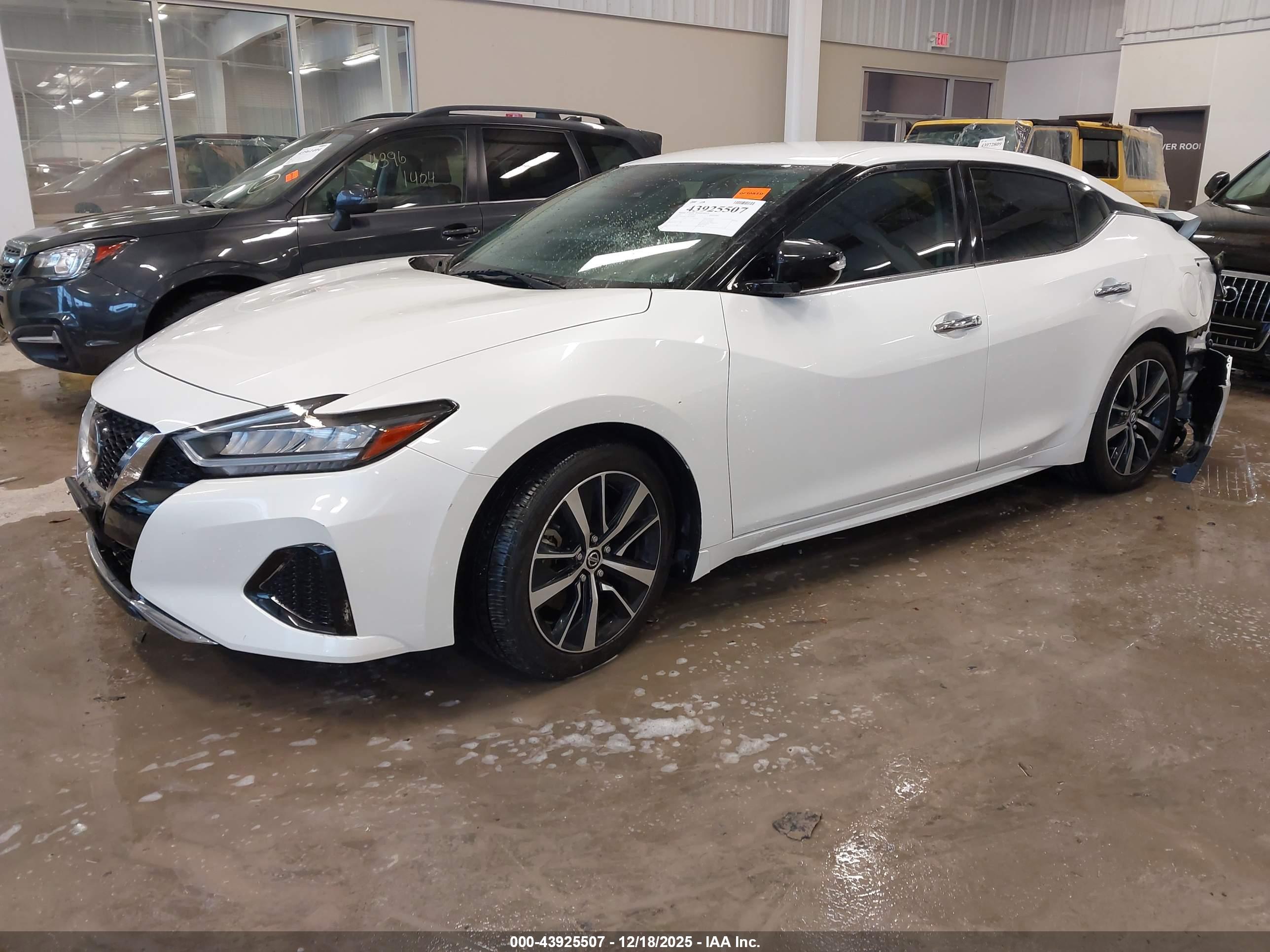 NISSAN MAXIMA image 2