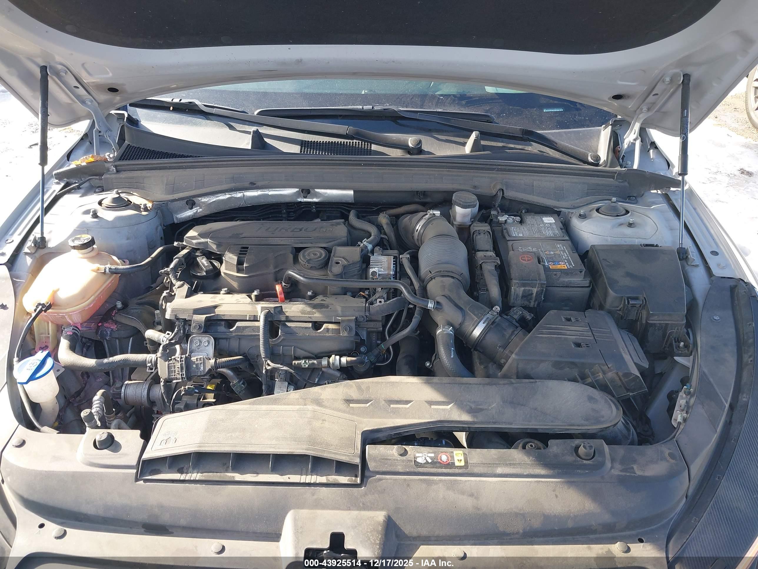 KIA K5 image 10