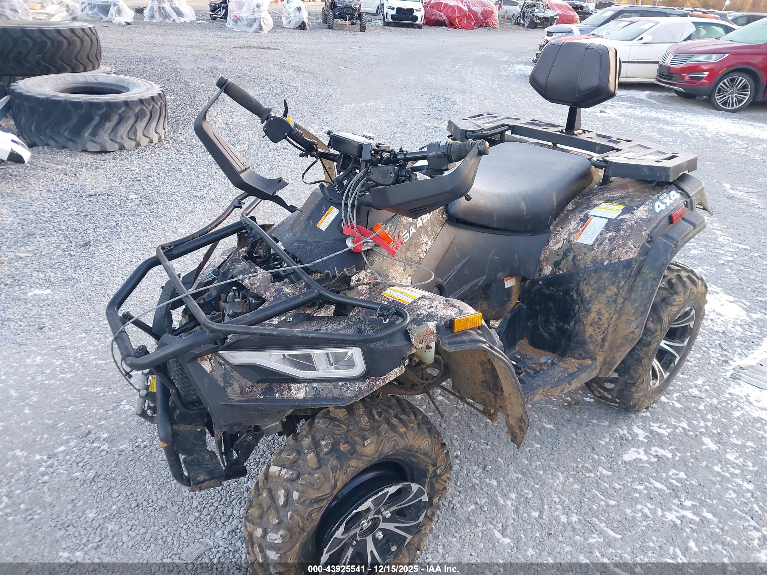 MASSIMO 450 image 2