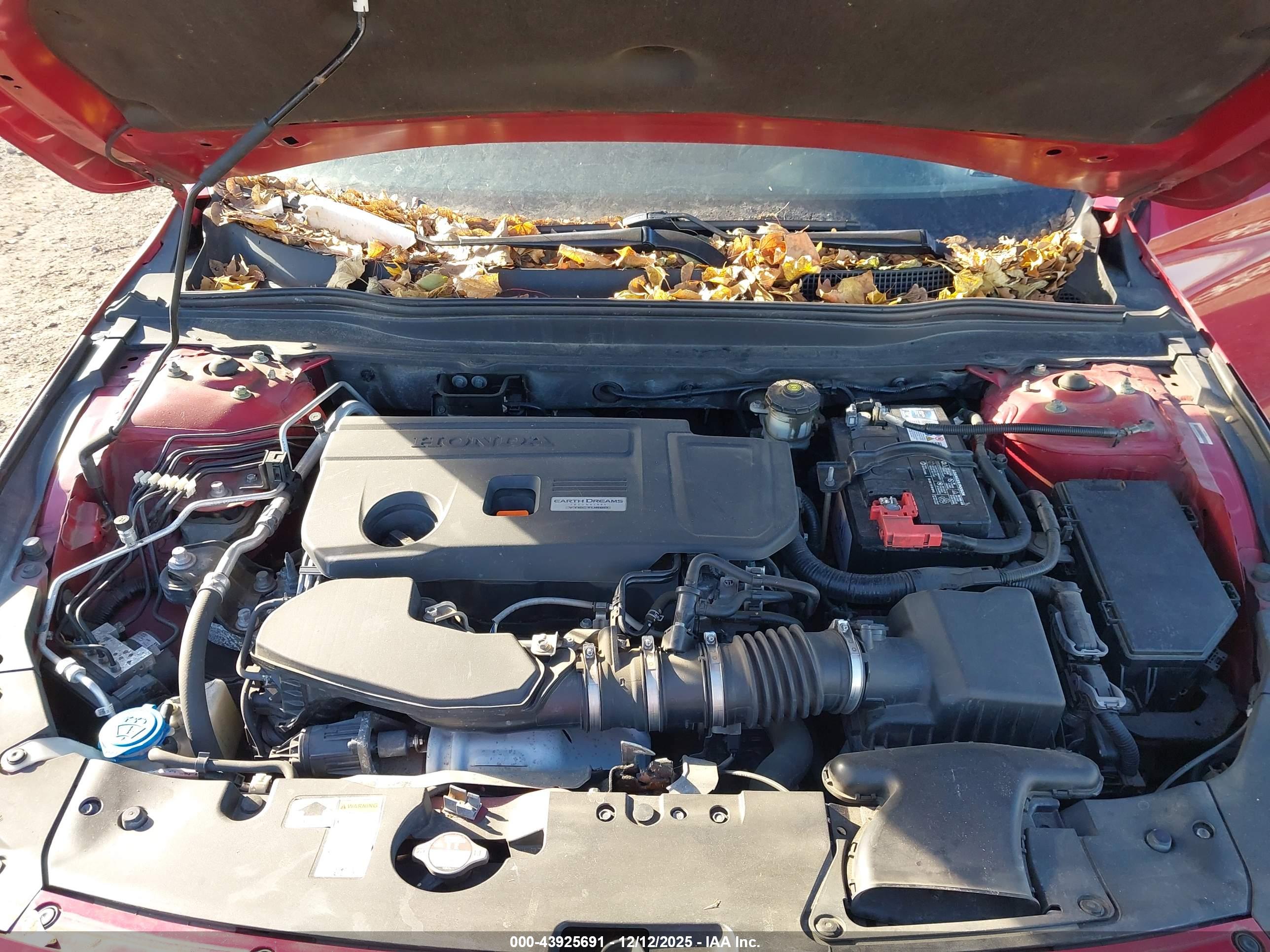 HONDA ACCORD image 10