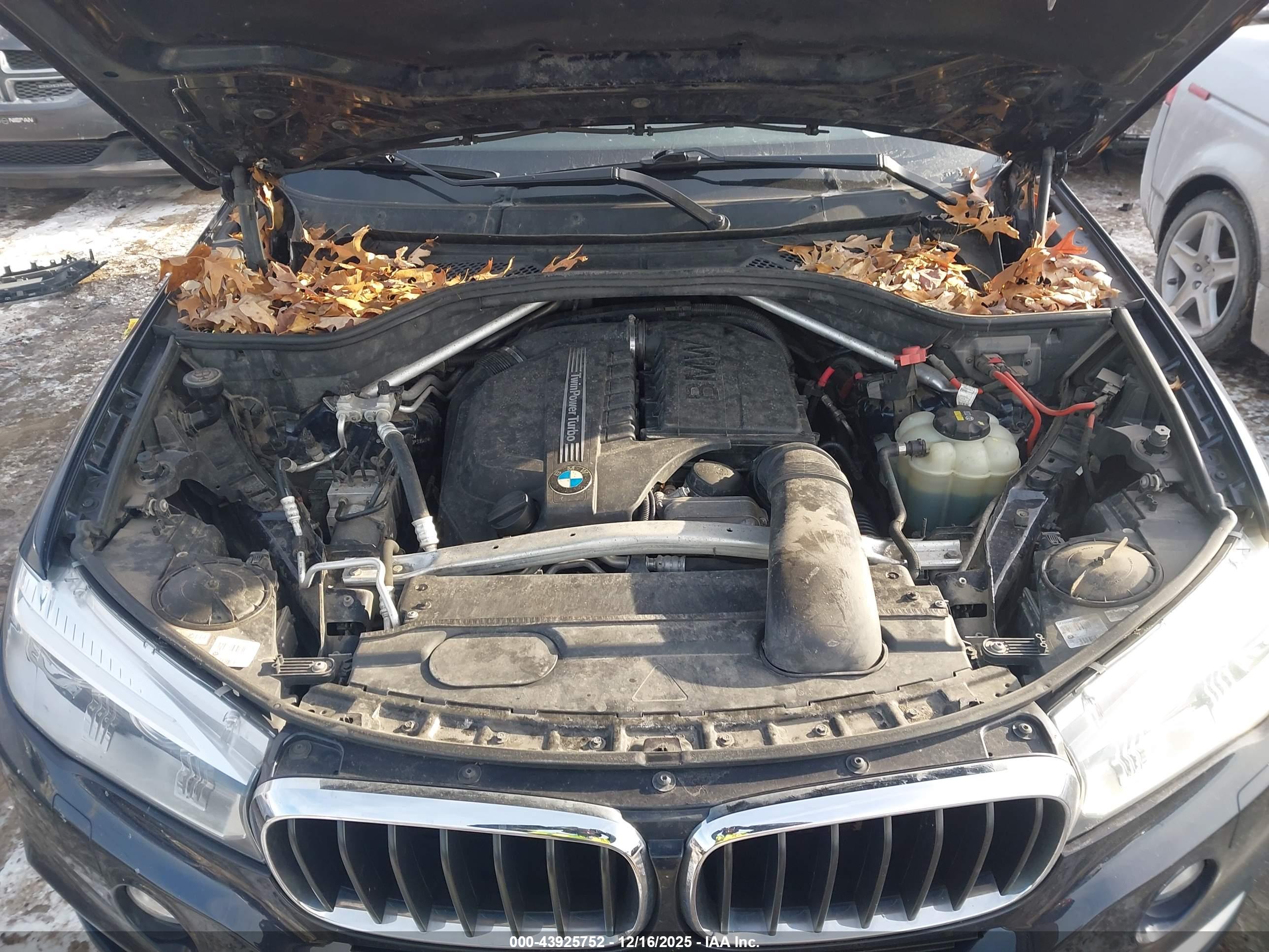 BMW X5 image 10