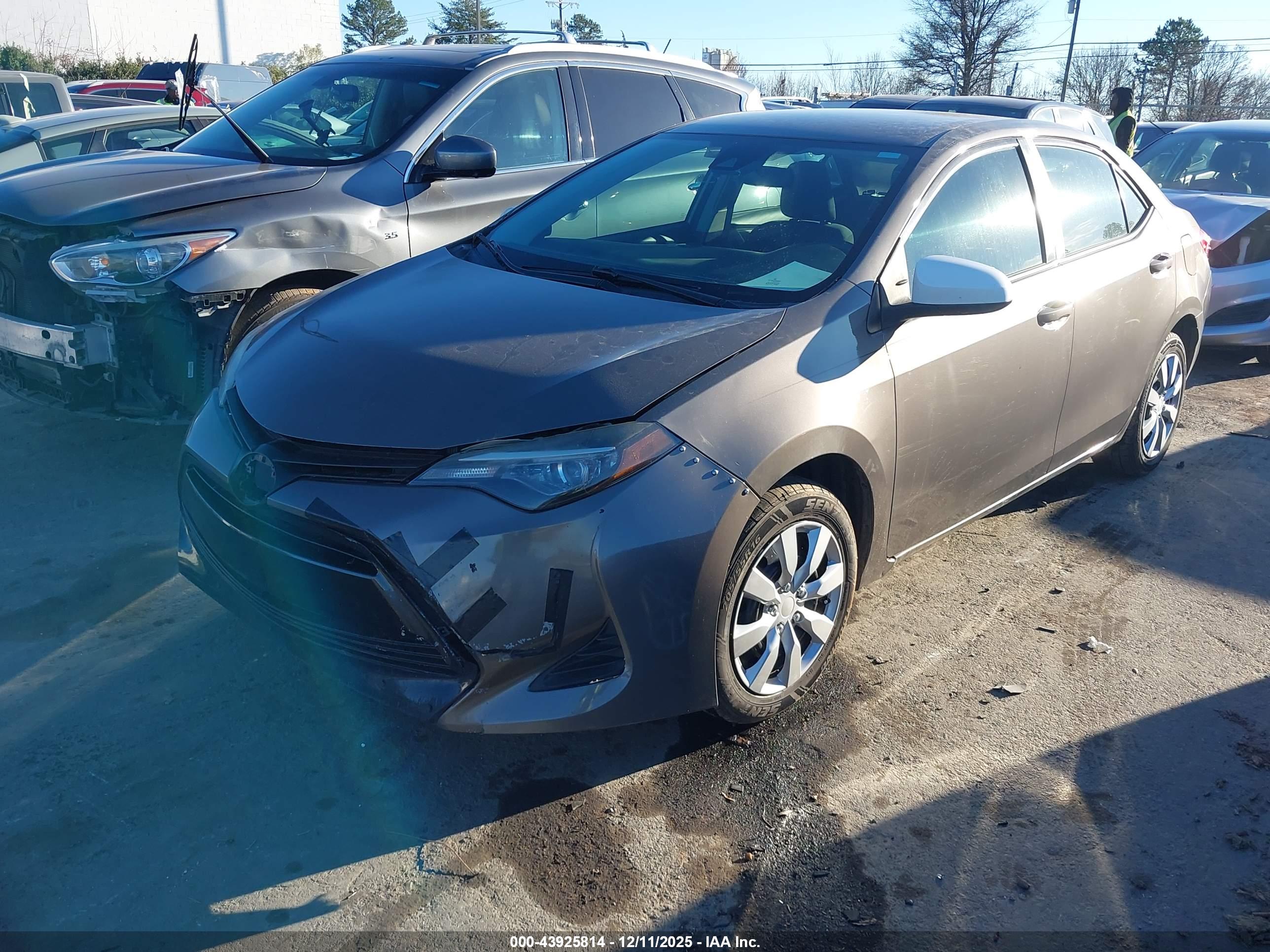 TOYOTA COROLLA image 2