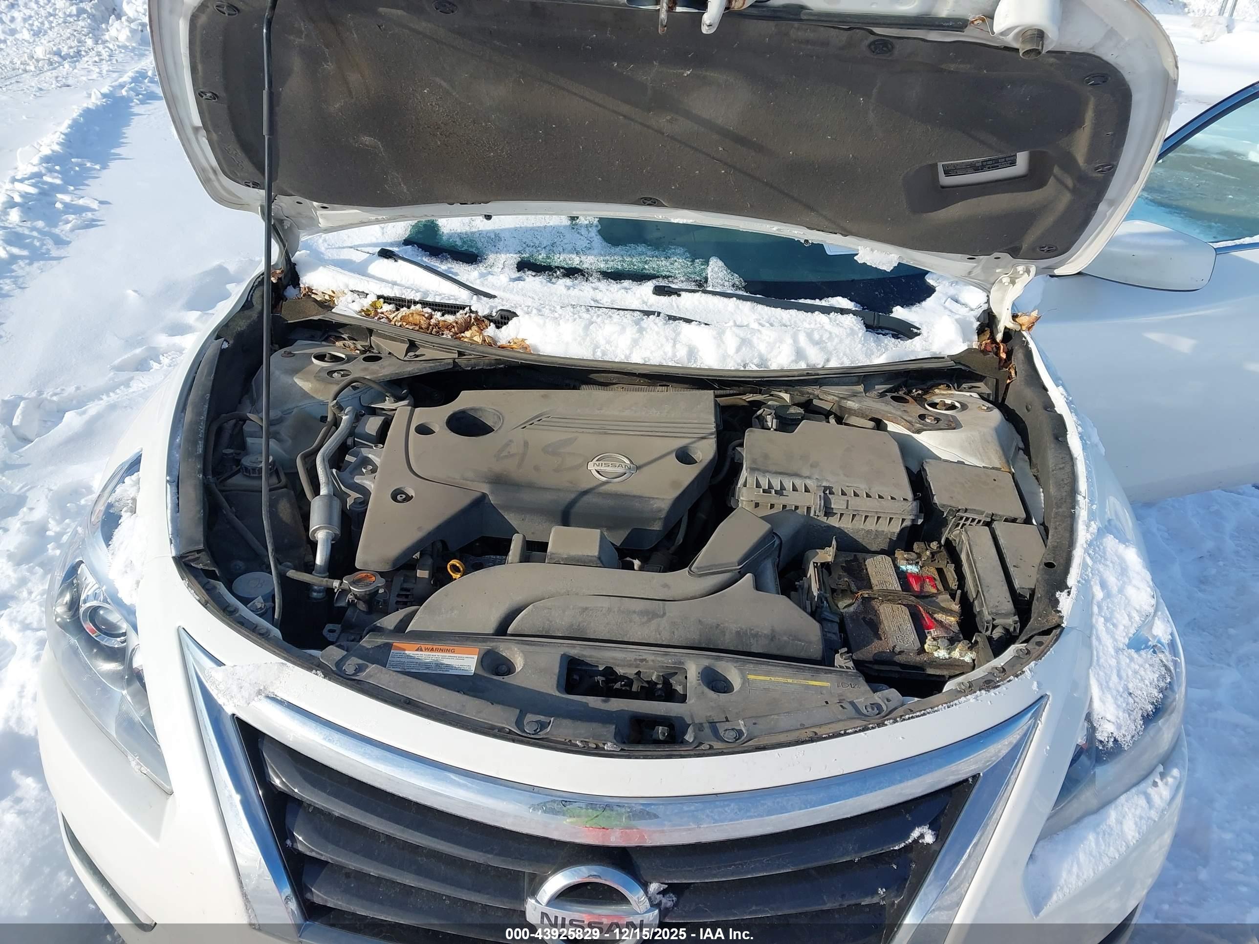 NISSAN ALTIMA image 10
