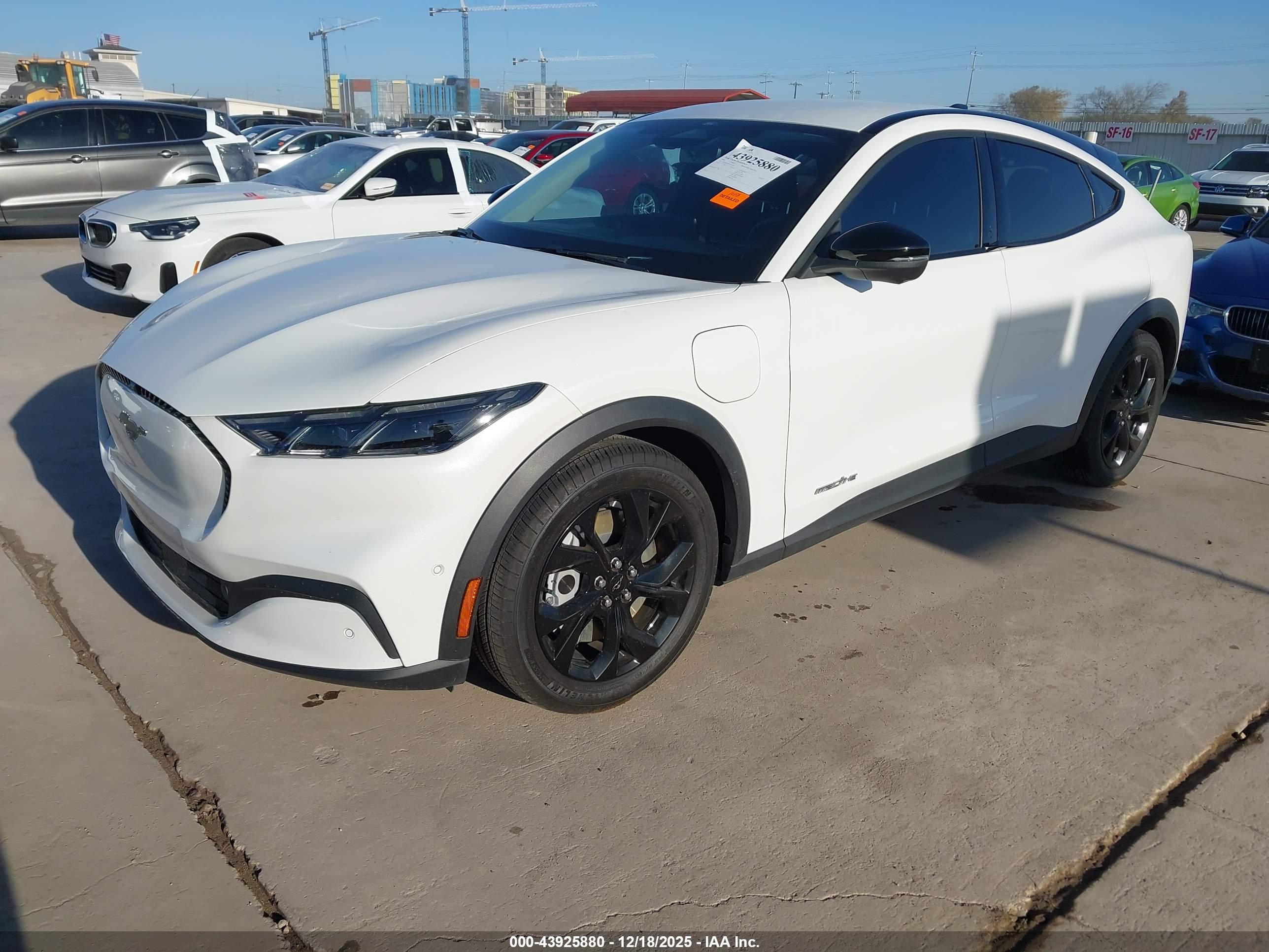 FORD MUSTANG image 2