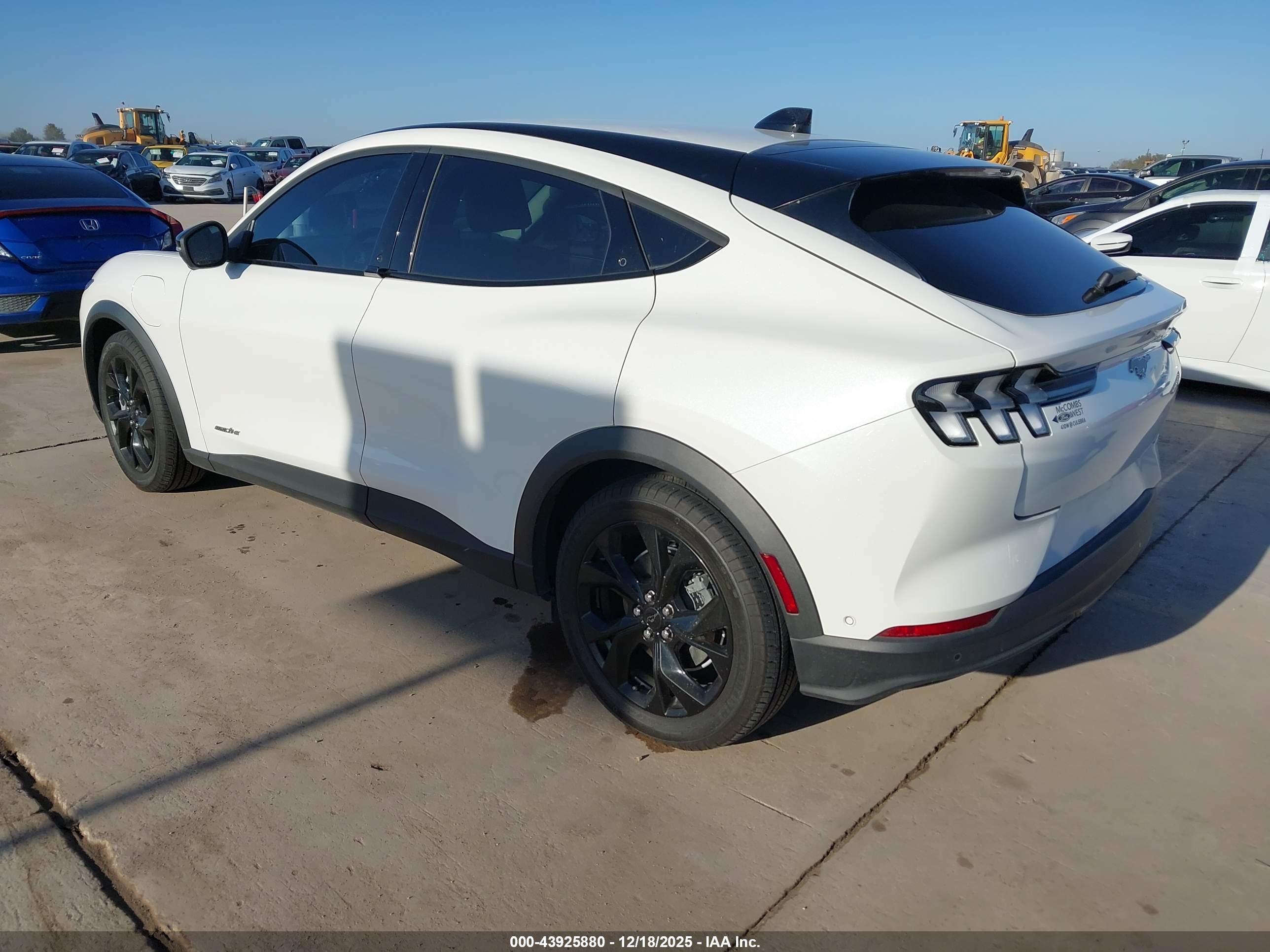 FORD MUSTANG image 3