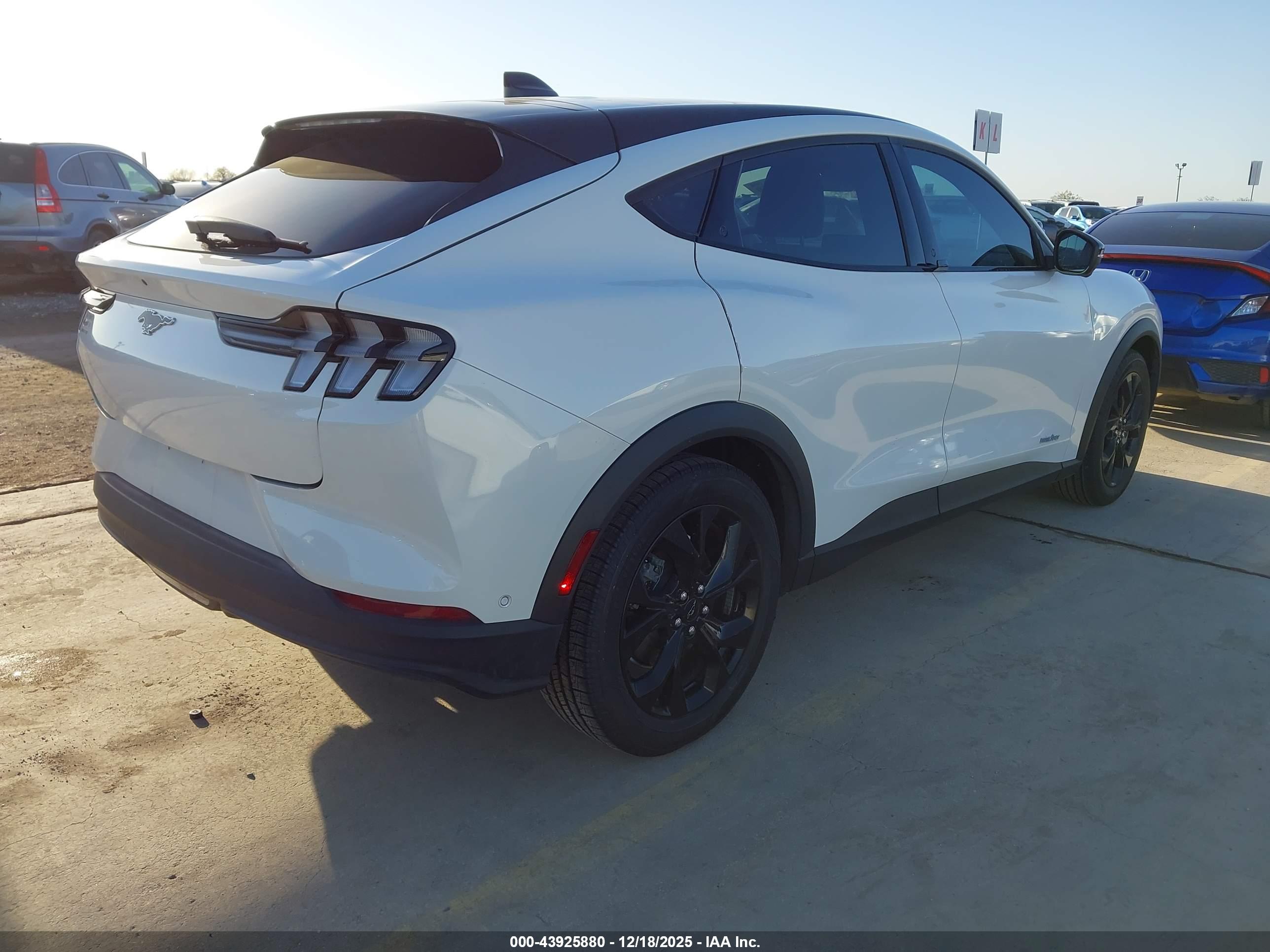 FORD MUSTANG image 4