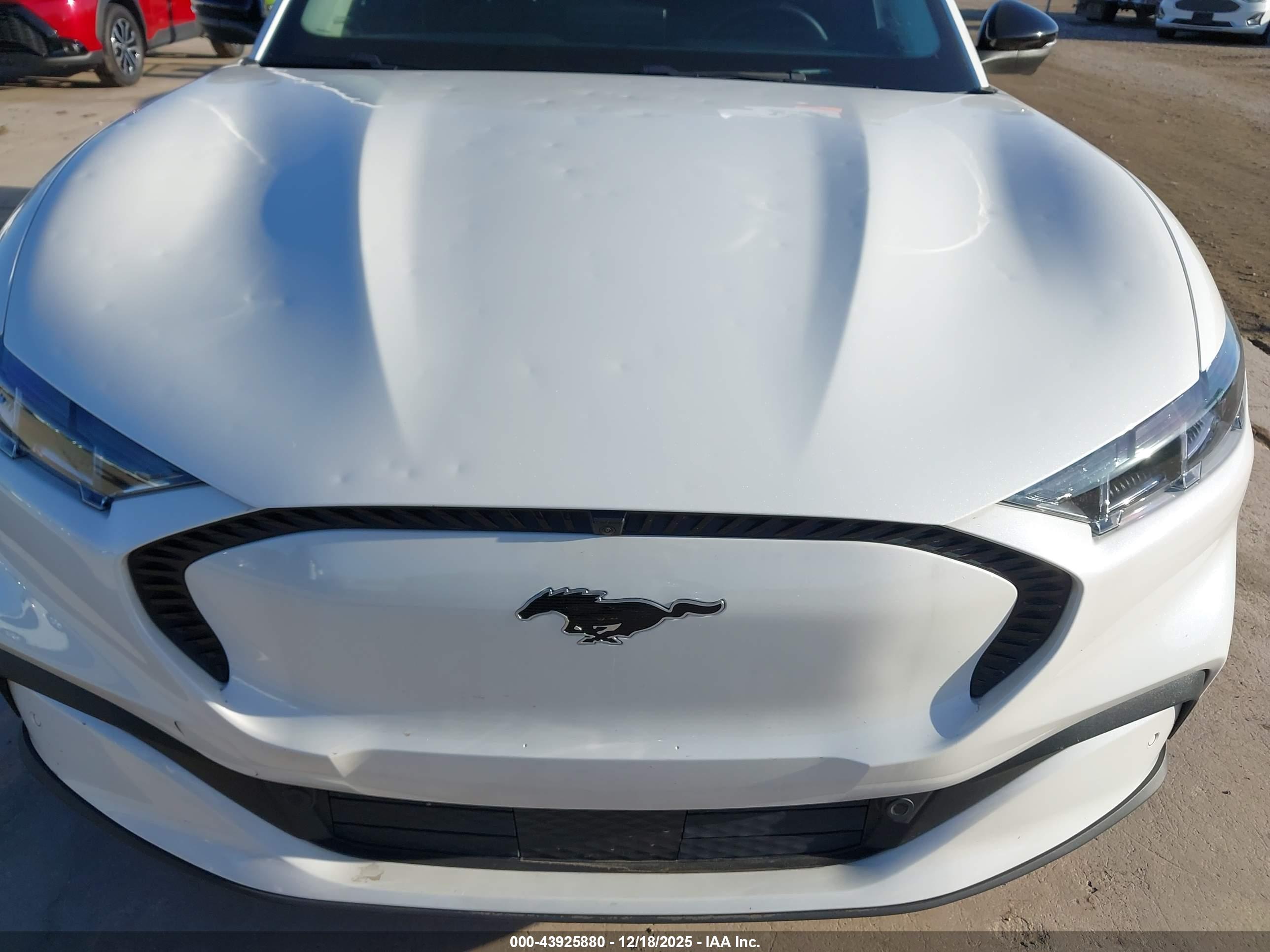 FORD MUSTANG image 6
