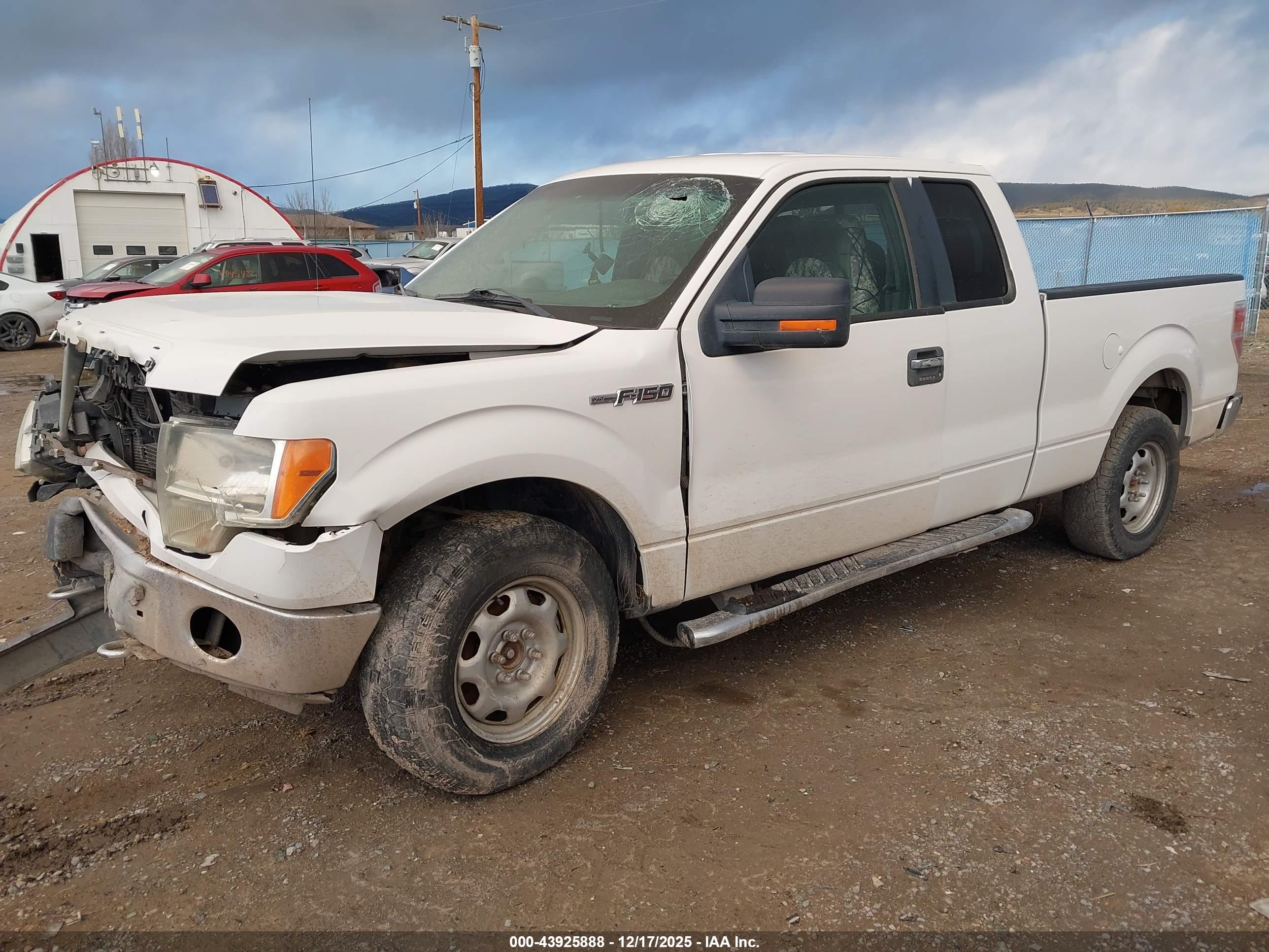 FORD F-150 image 2