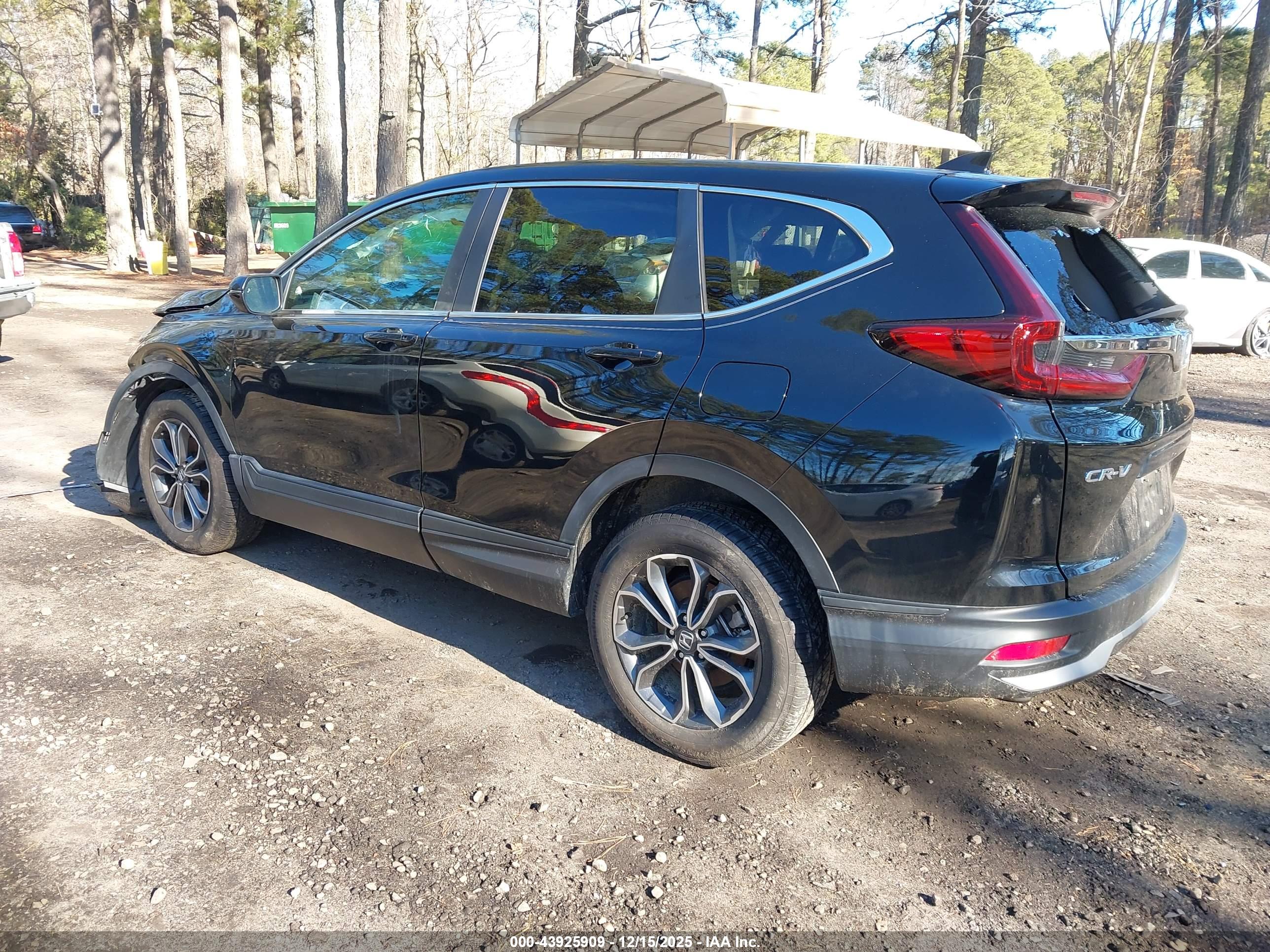 HONDA CR-V image 3