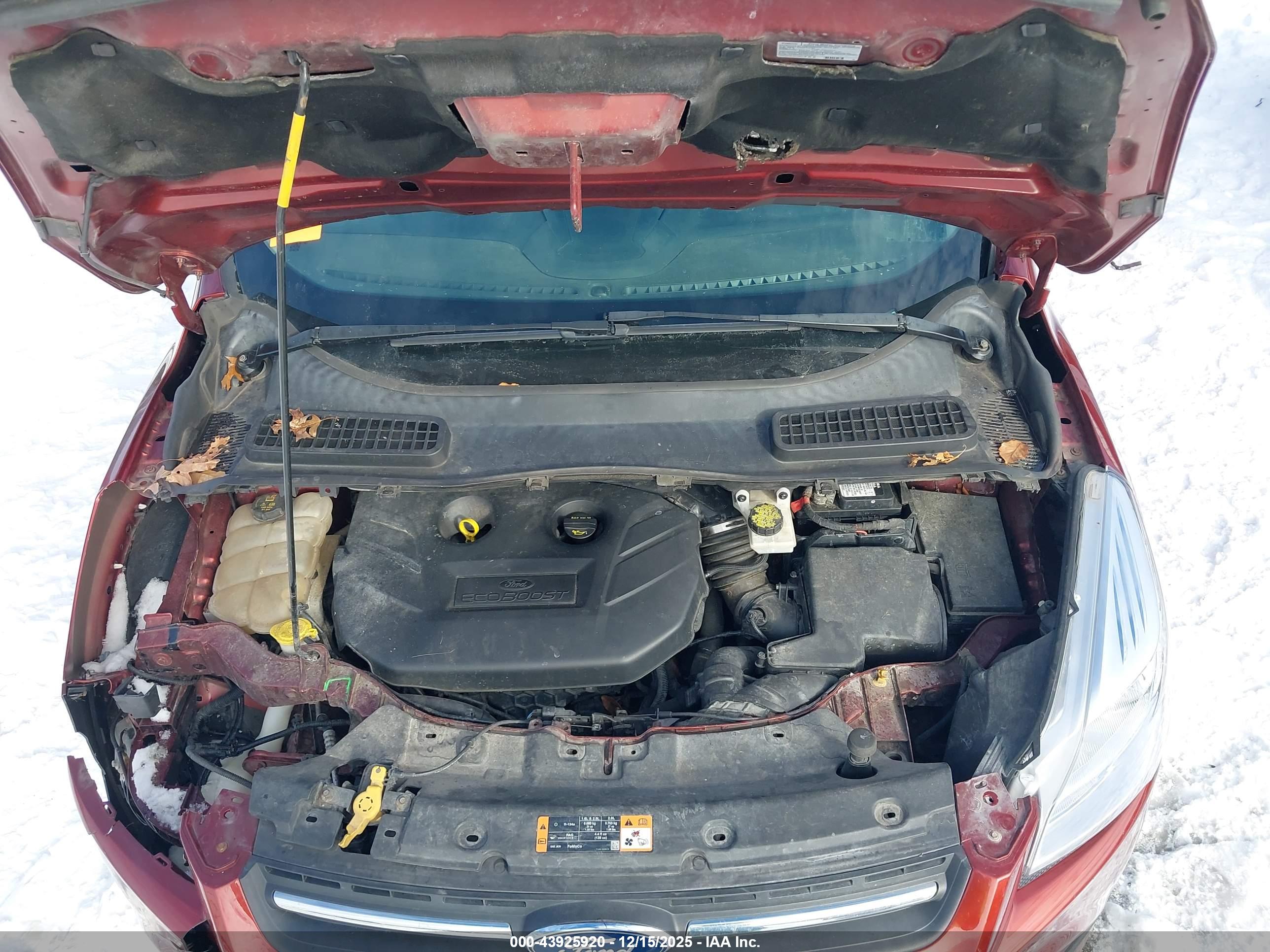 FORD ESCAPE image 10