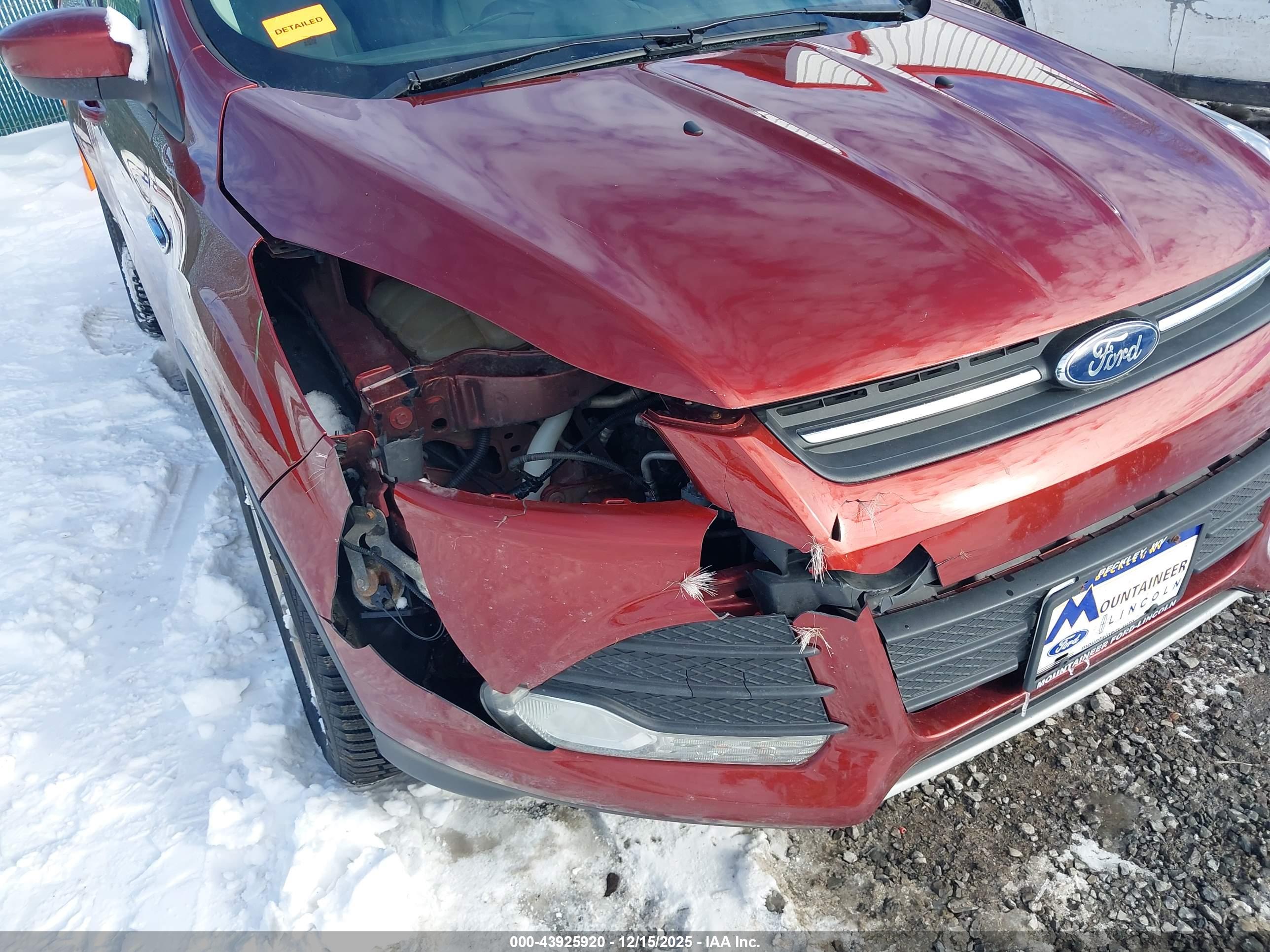 FORD ESCAPE image 6