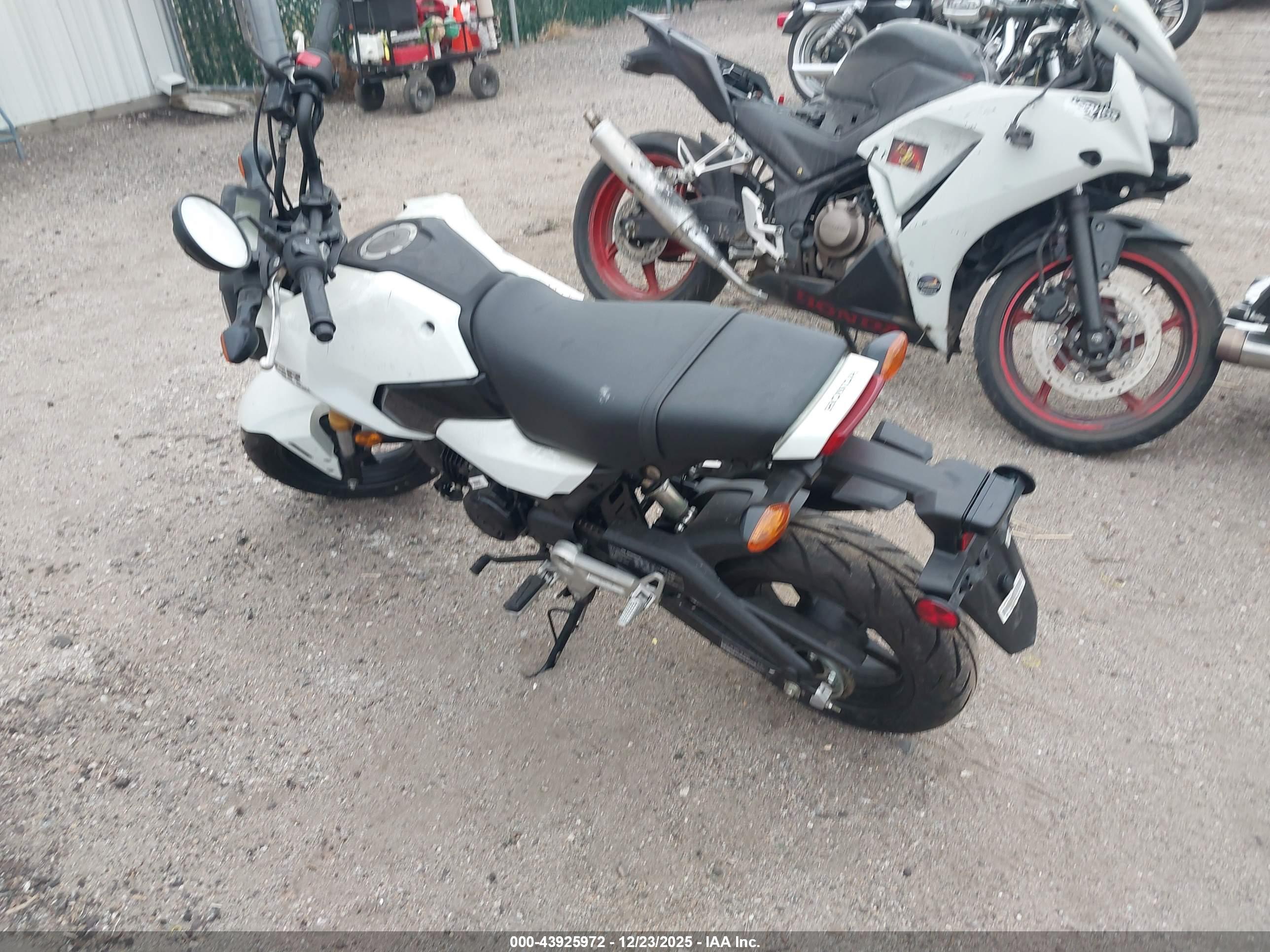 HONDA GROM image 3