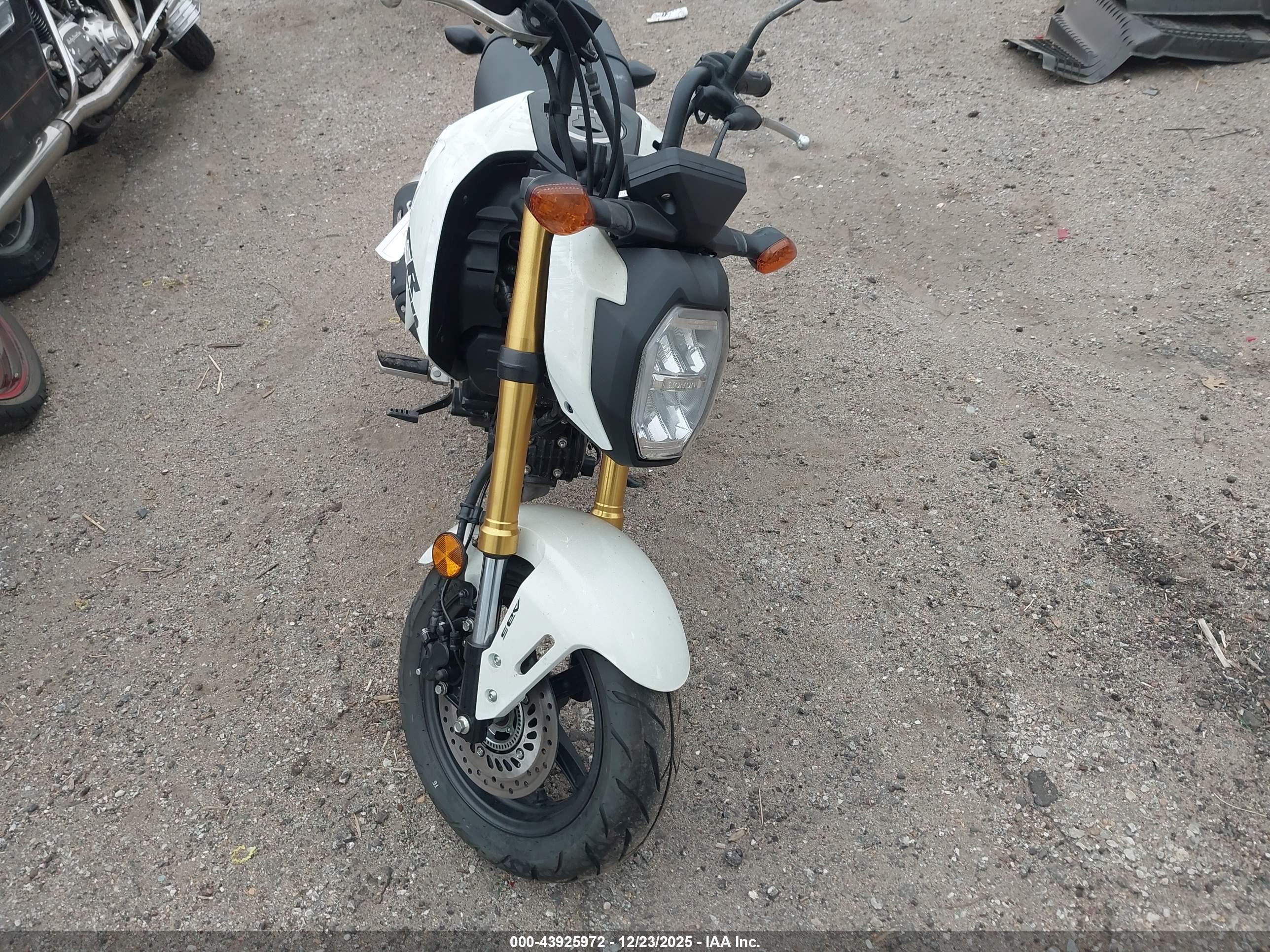 HONDA GROM image 5