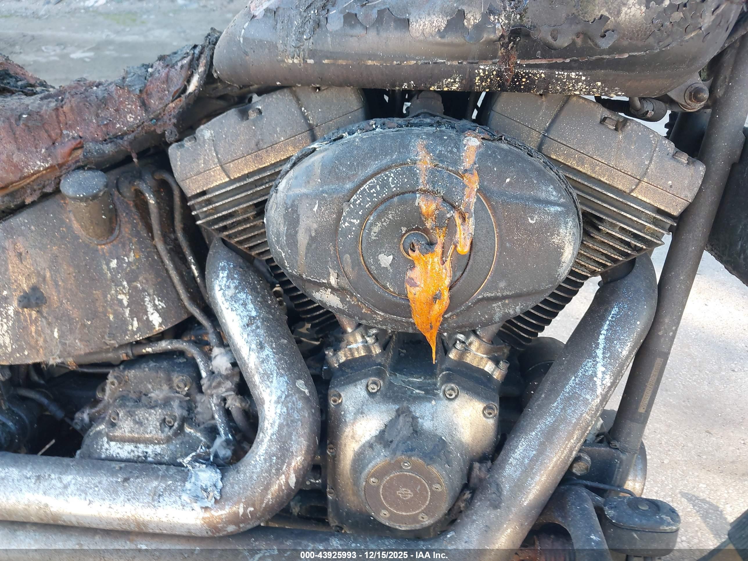 HARLEY-DAVIDSON FXST image 8