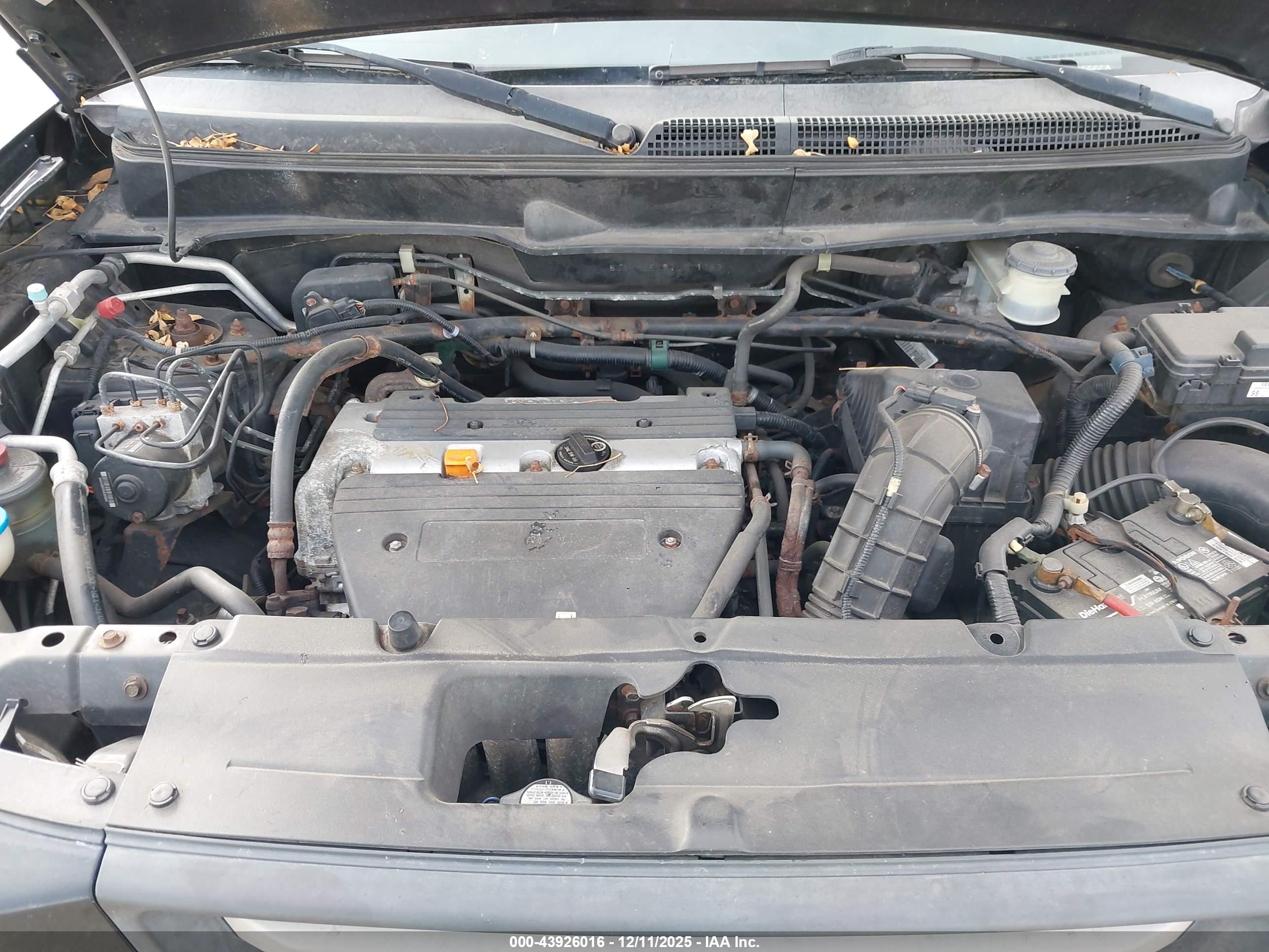 HONDA ELEMENT image 10