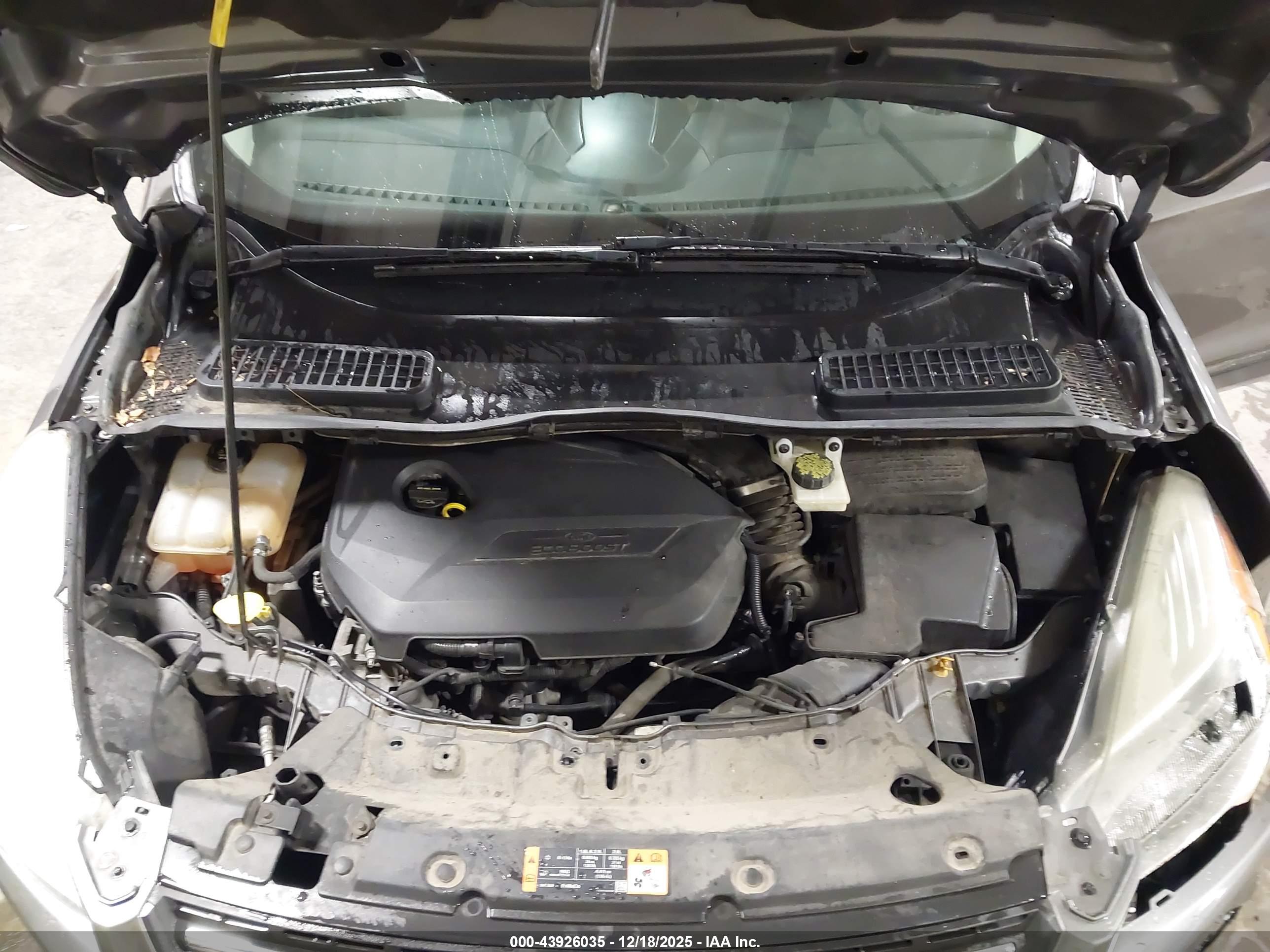 FORD ESCAPE image 10