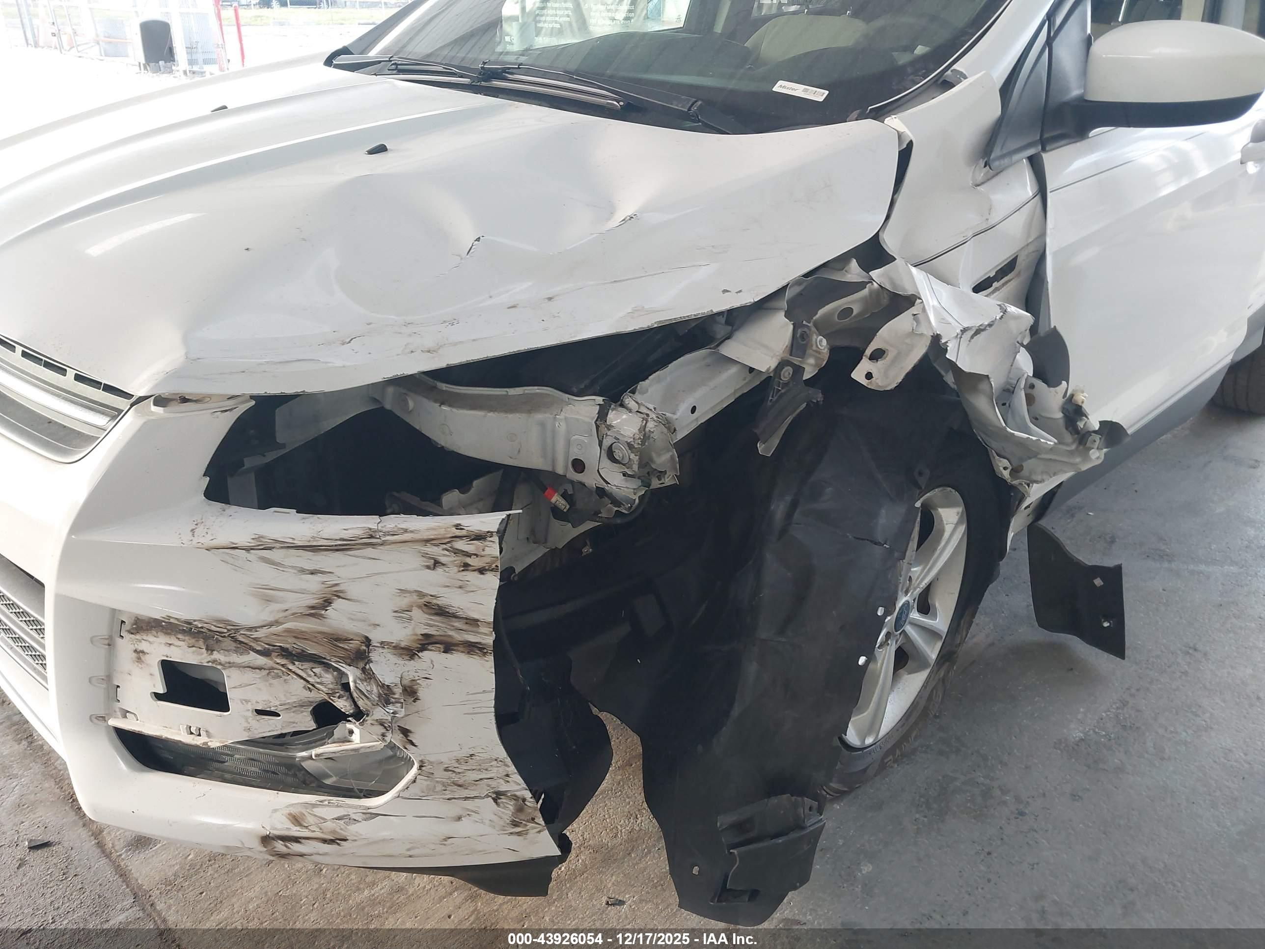 FORD ESCAPE image 6
