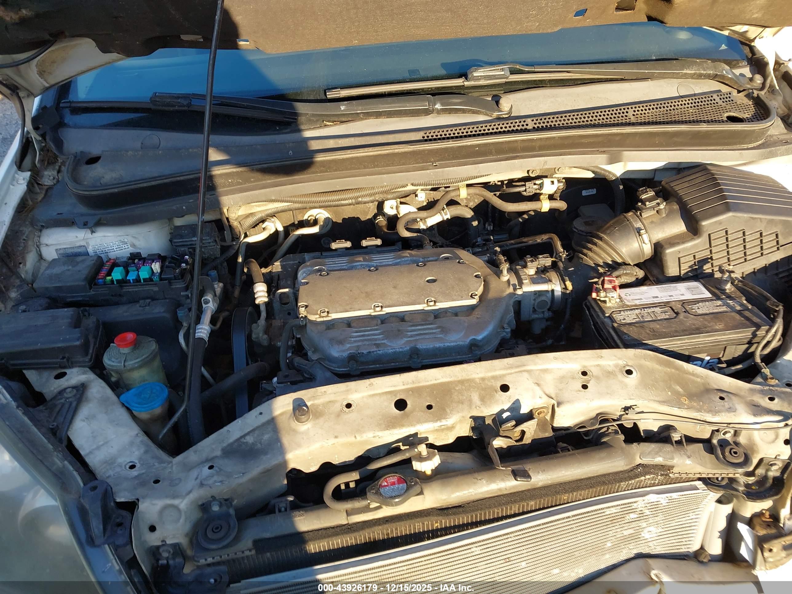 HONDA ODYSSEY image 10