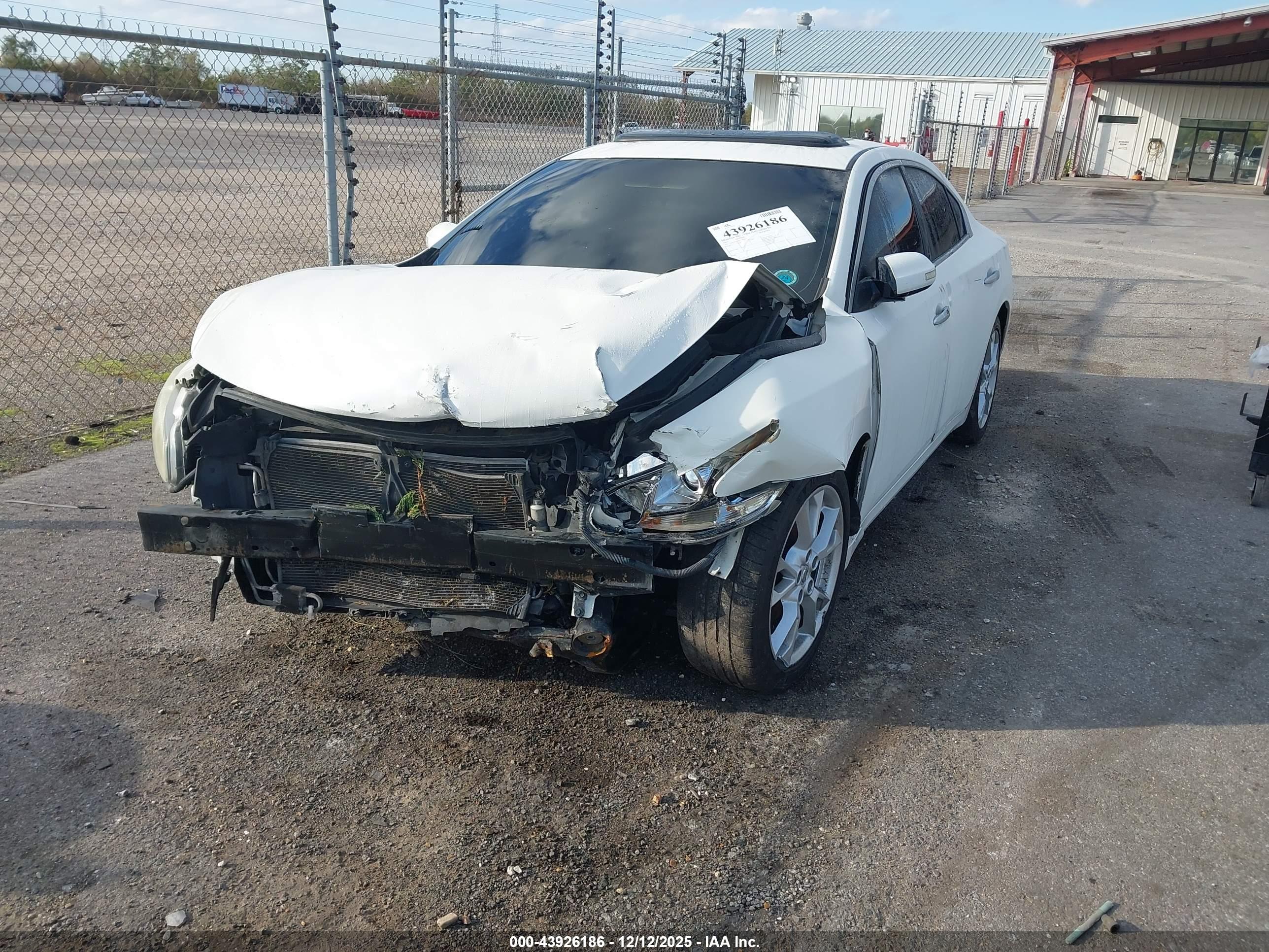 NISSAN MAXIMA image 2