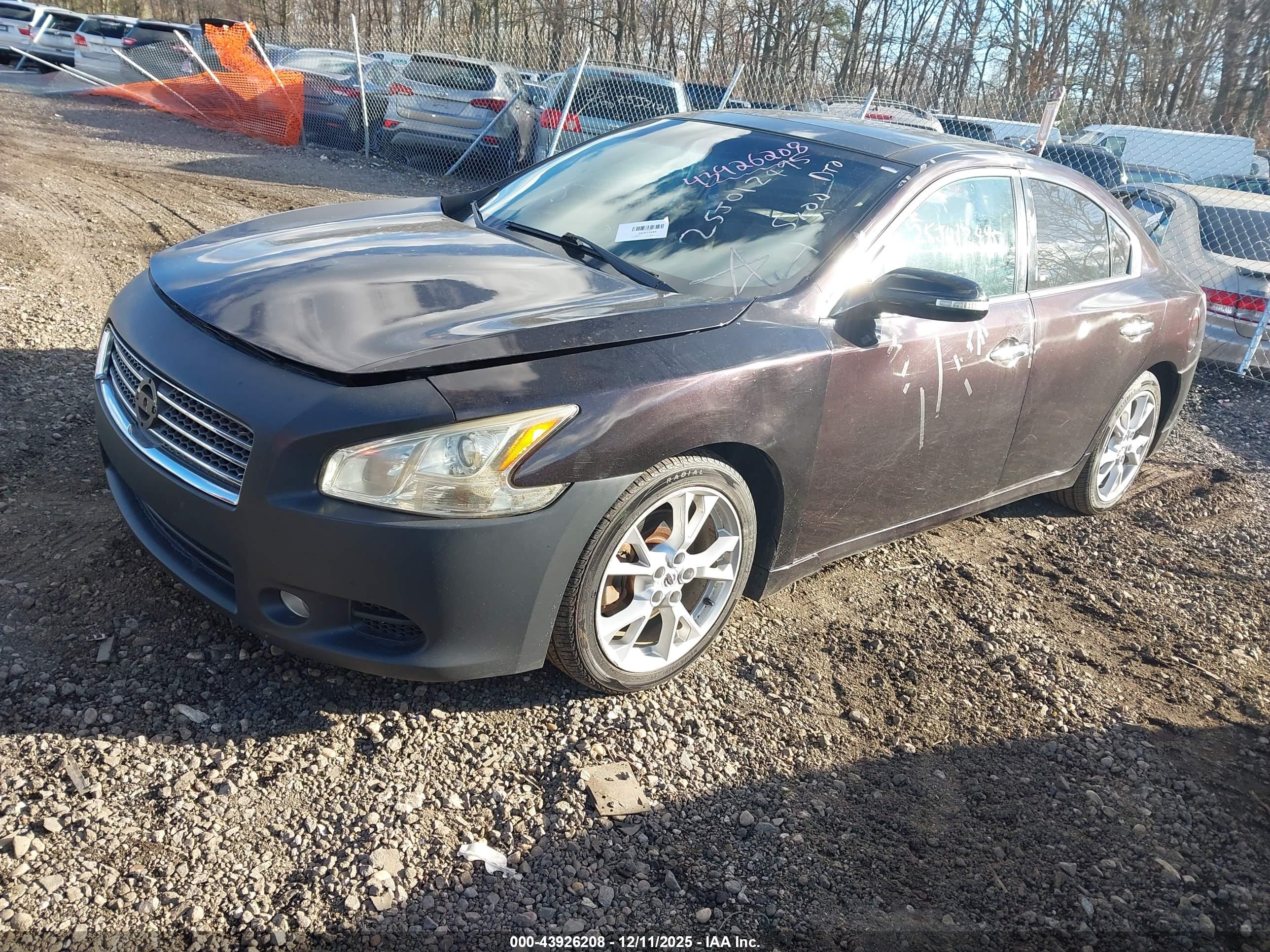NISSAN MAXIMA image 2